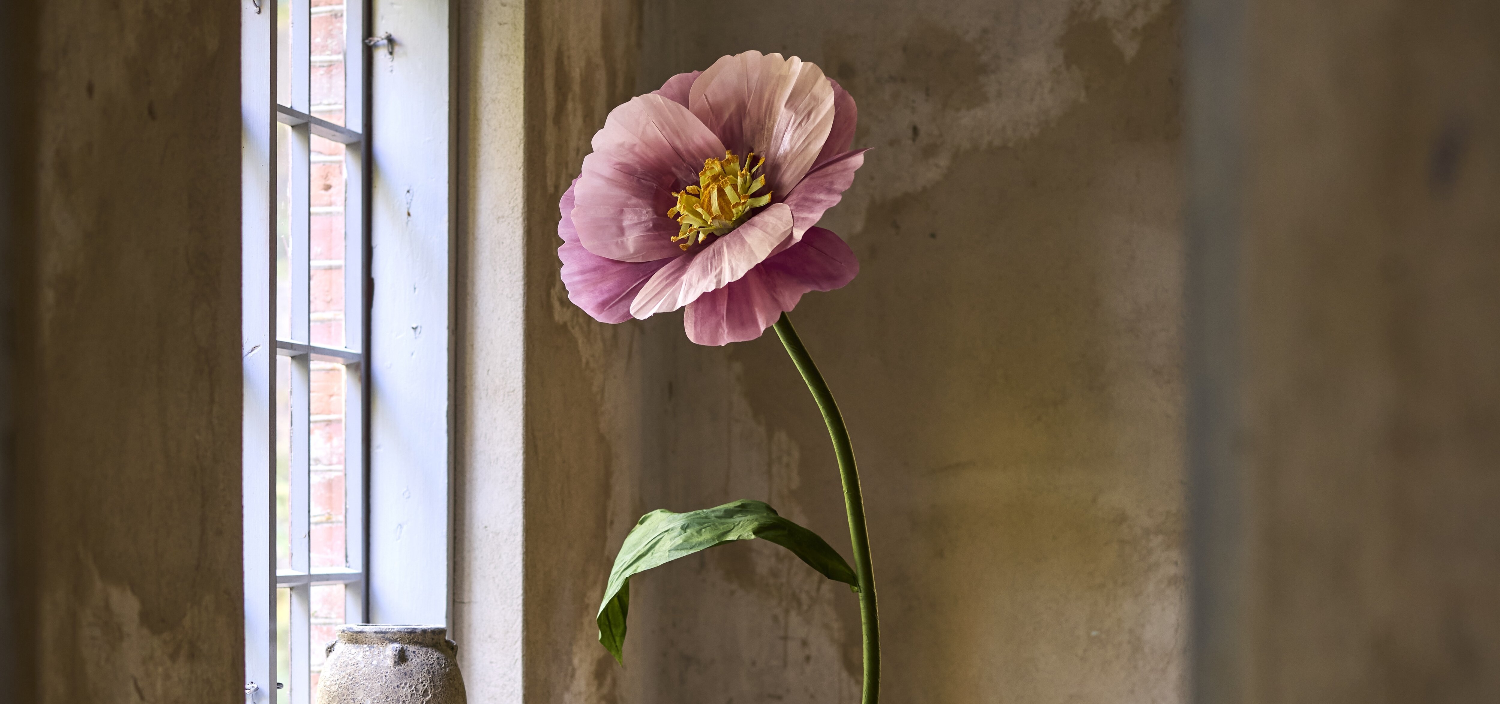 https://www.mrplantshop.se/pub_docs/files/Karriar.jpg