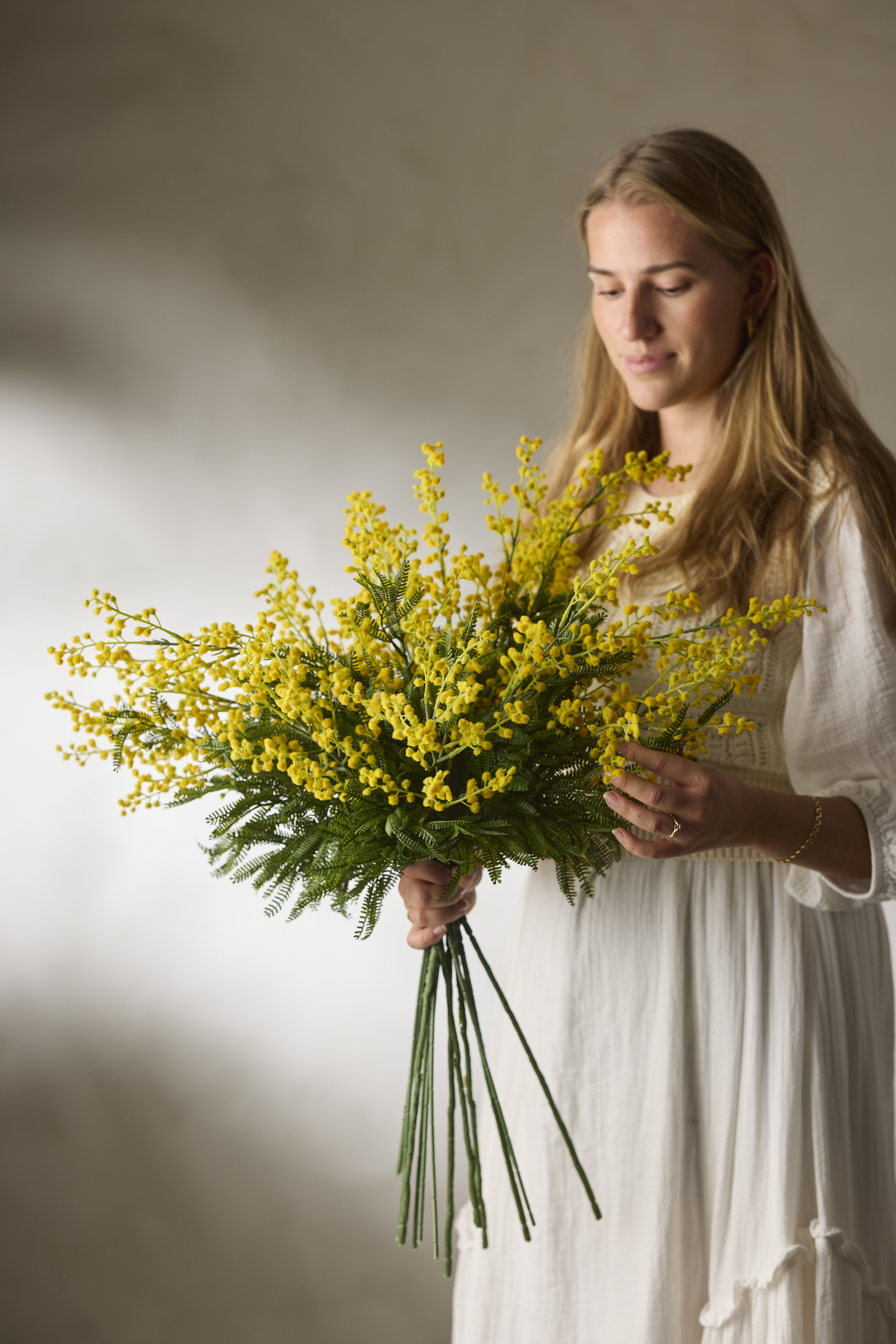 https://www.mrplantshop.se/pub_docs/files/mfr_1665.jpg