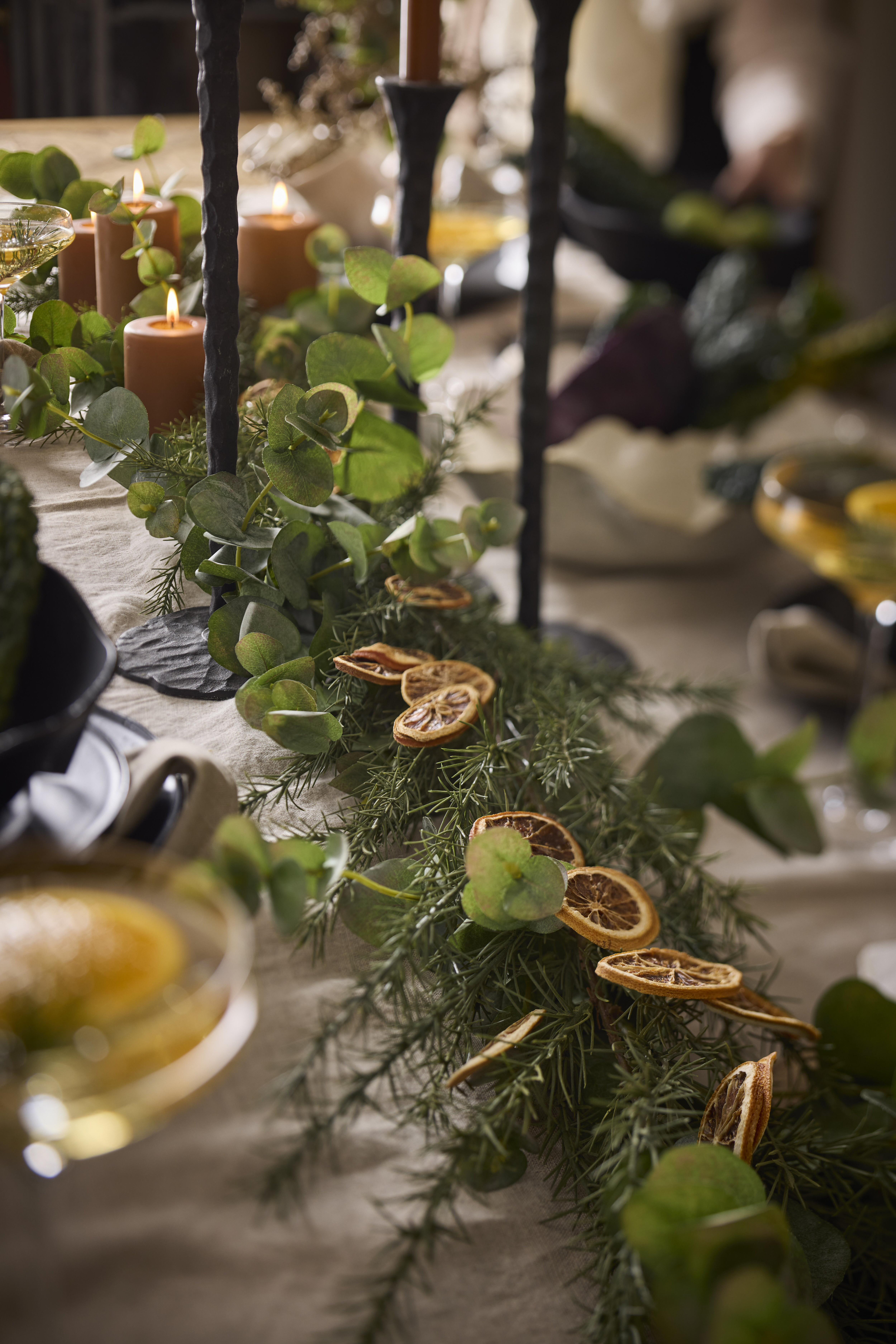 https://www.mrplantshop.se/pub_docs/files/mfr_240408_0299-2.jpg