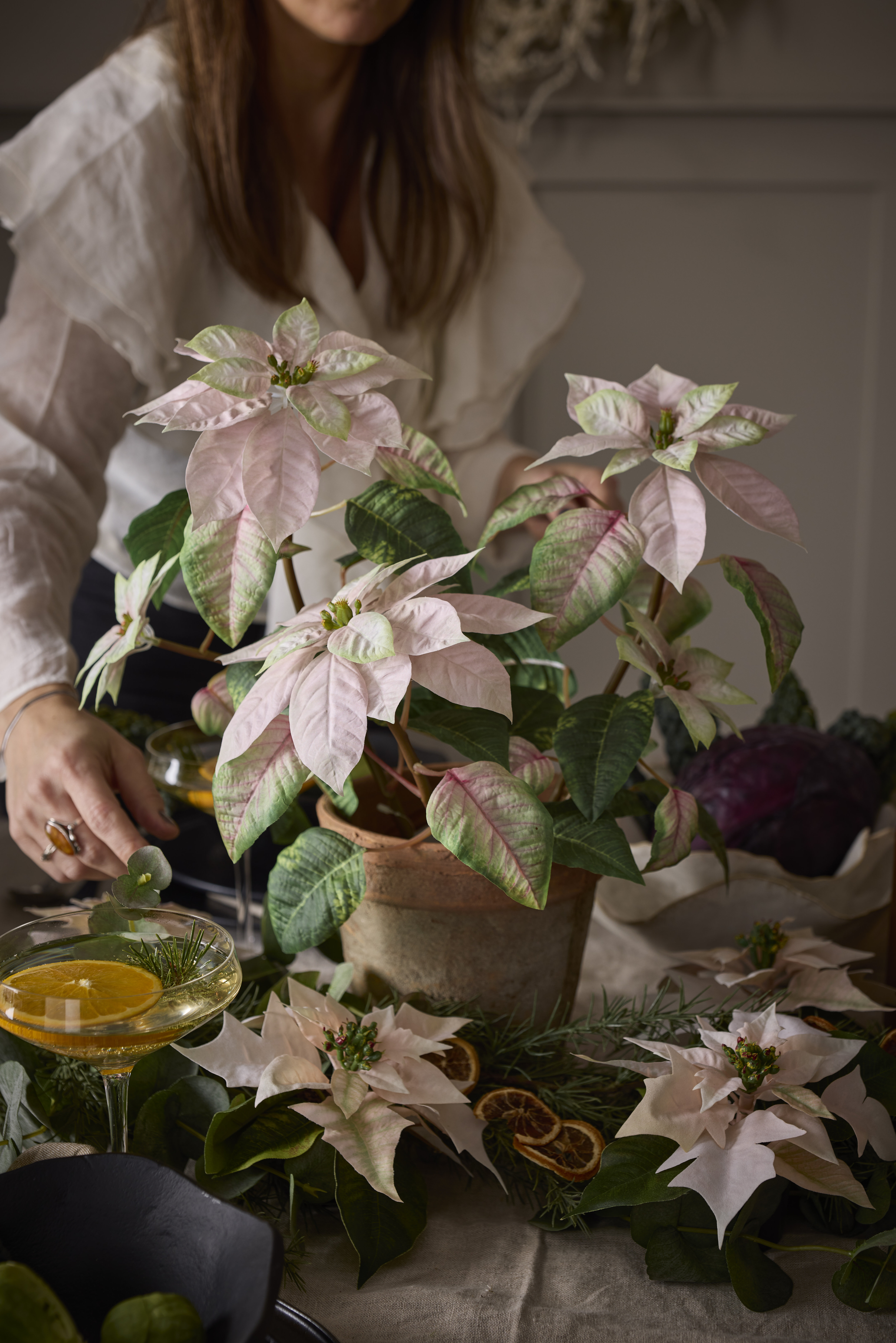 https://www.mrplantshop.se/pub_docs/files/mfr_240408_0328-2.jpg