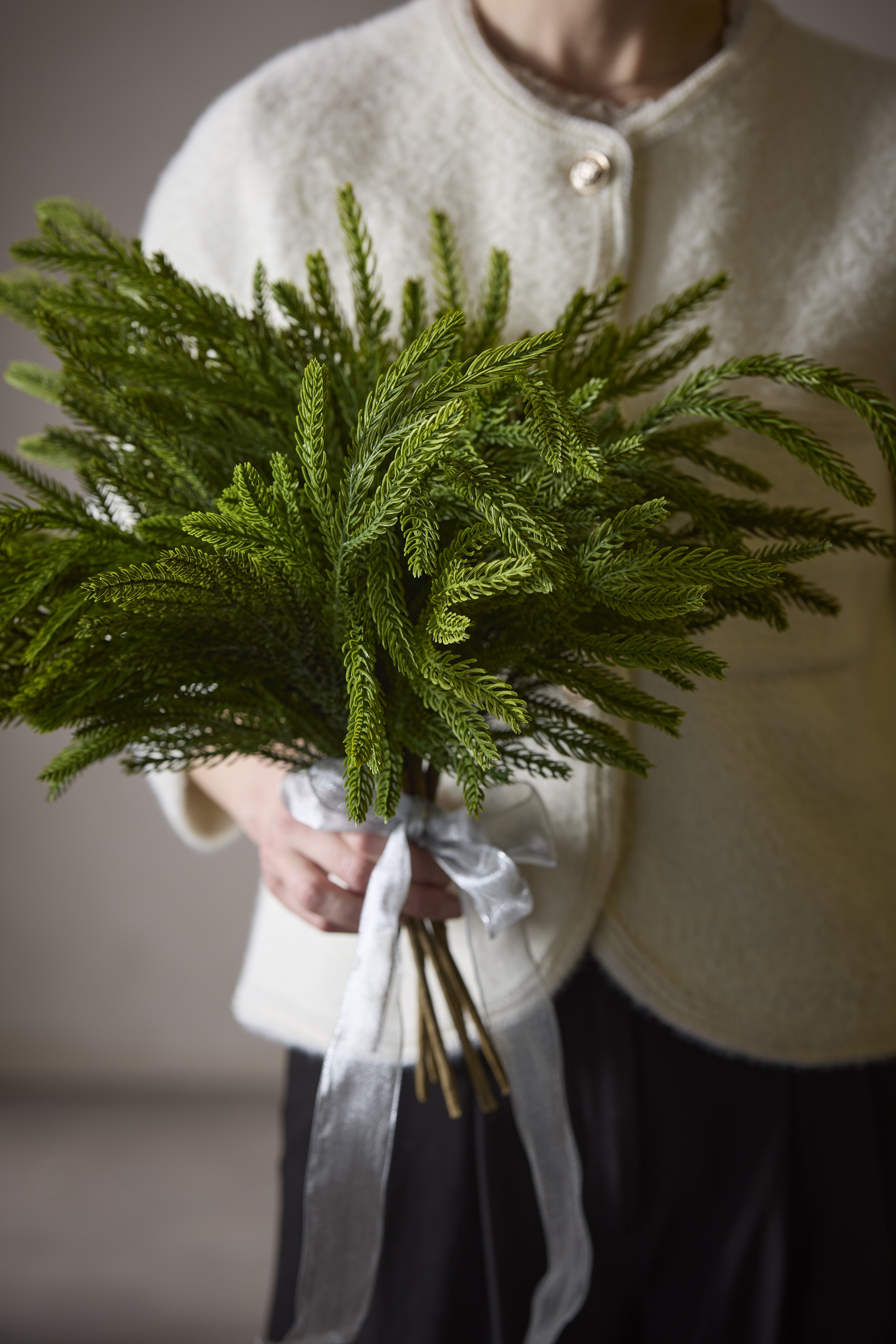 https://www.mrplantshop.se/pub_docs/files/mfr_240410_1767.jpg