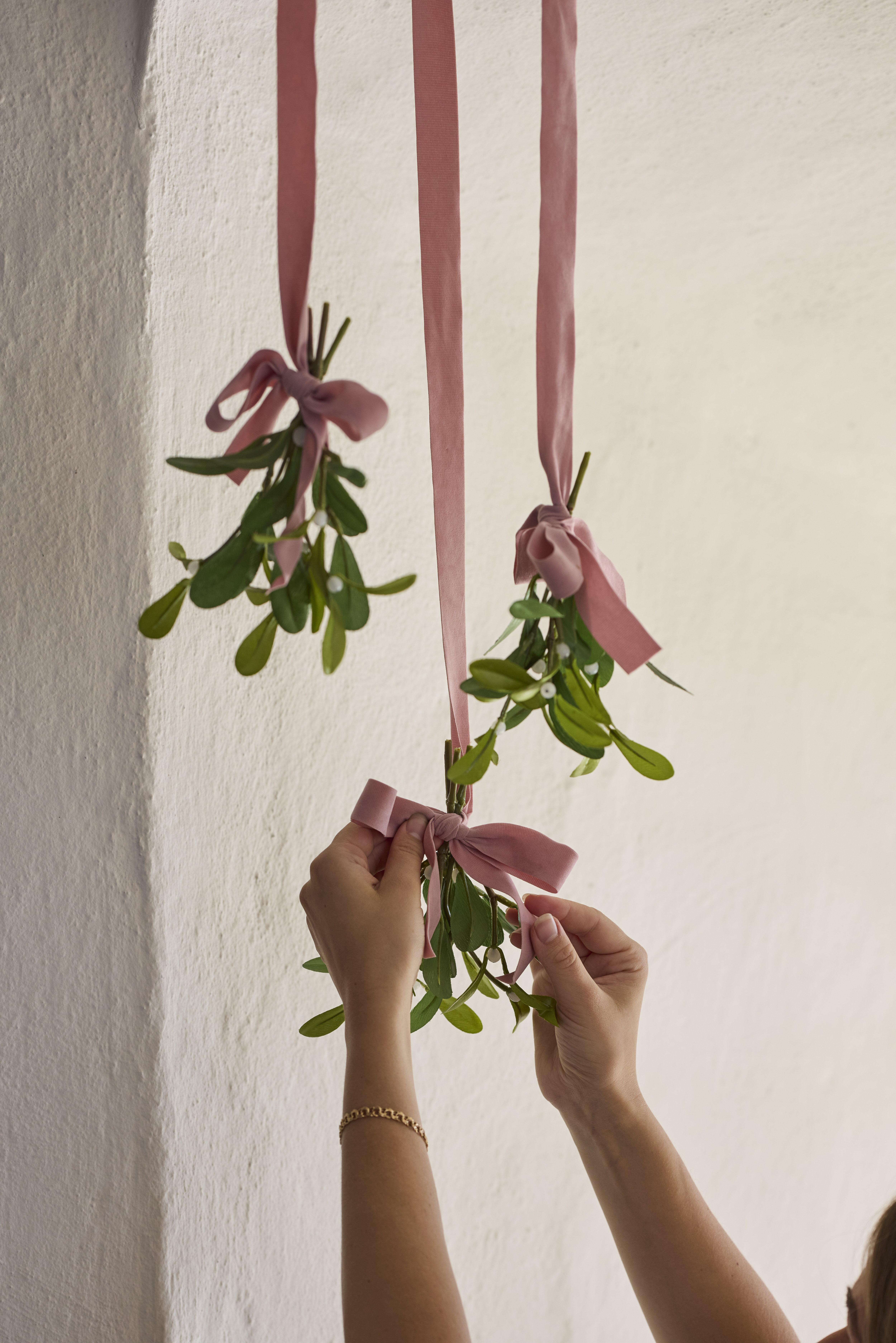 https://www.mrplantshop.se/pub_docs/files/mfr_240416_5263-2.jpg