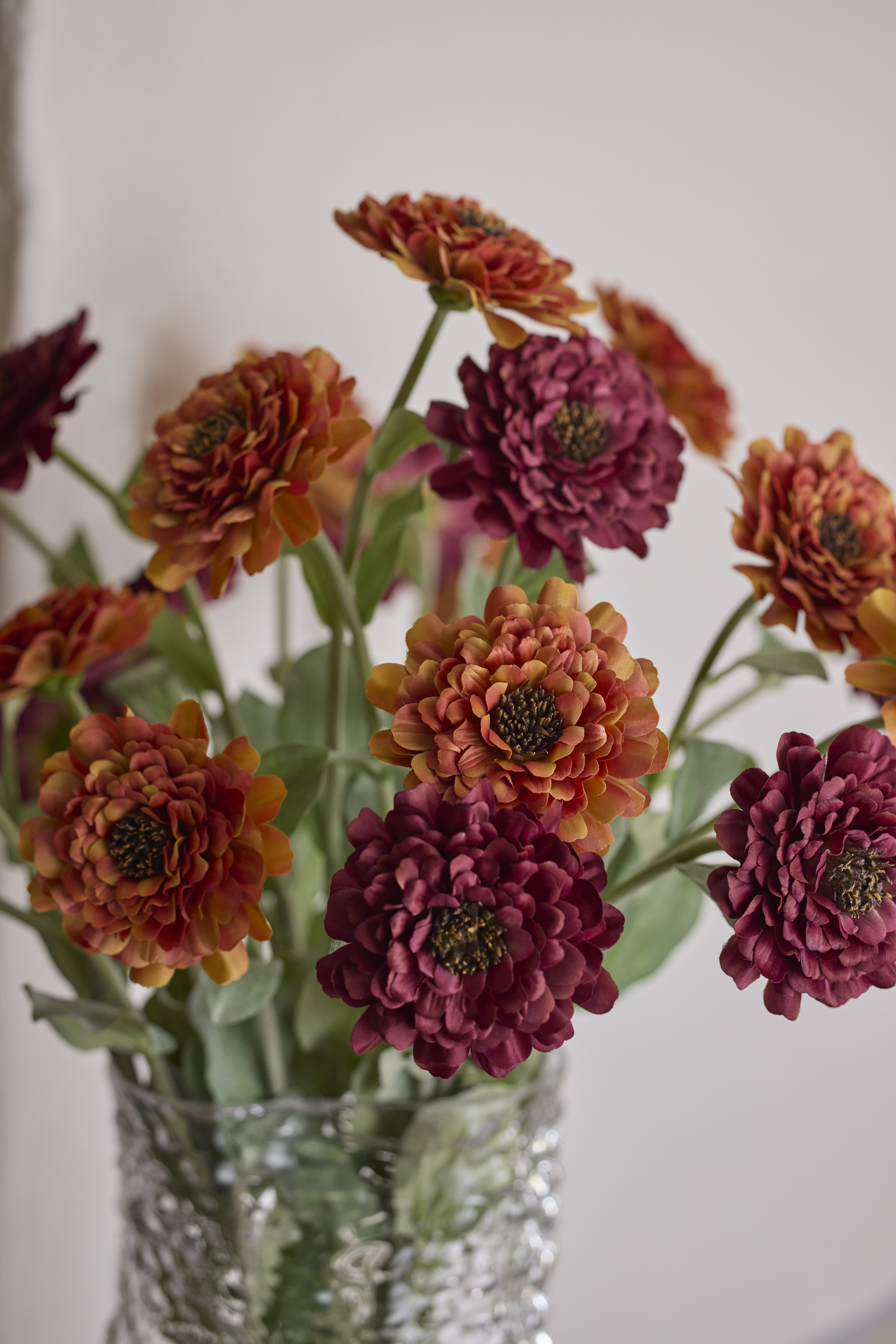 https://www.mrplantshop.se/pub_docs/files/mfr_240418_6747.jpg