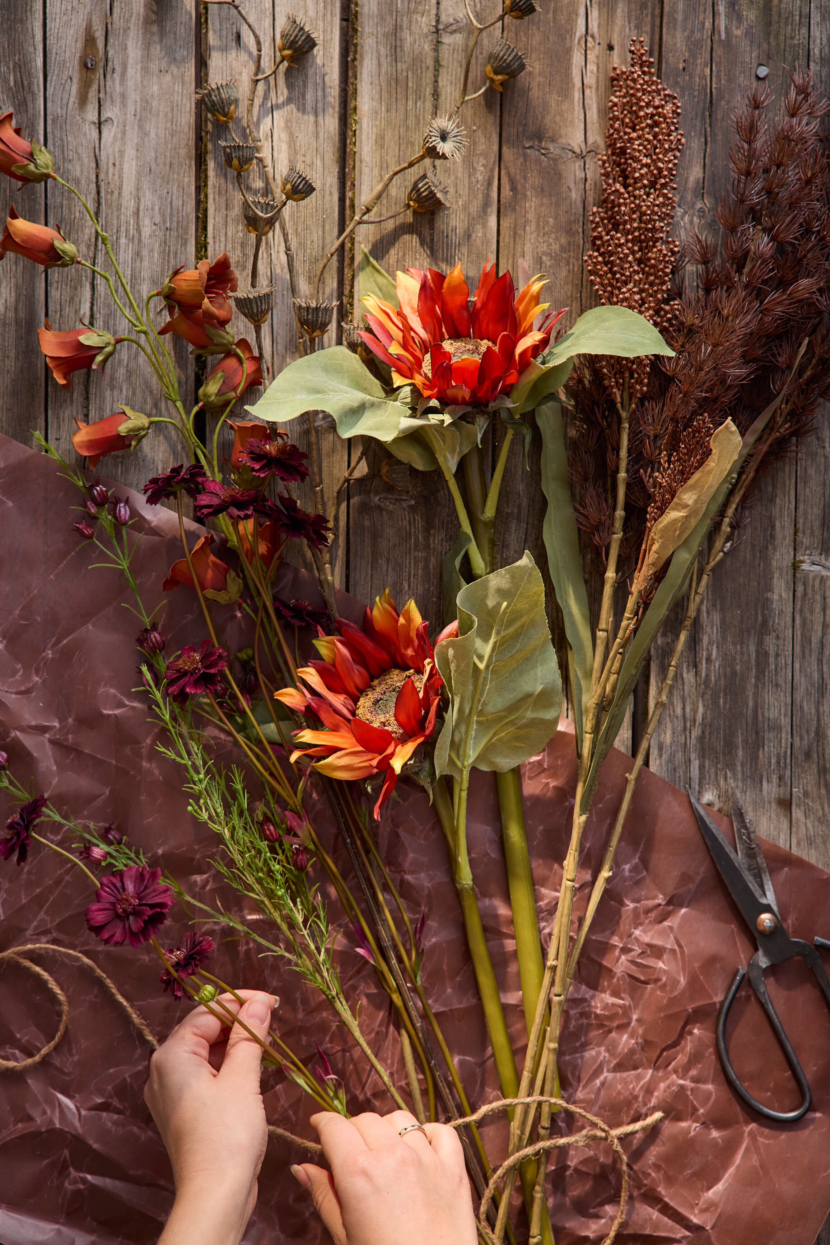 https://www.mrplantshop.se/pub_docs/files/mfr_250401-0989.jpg