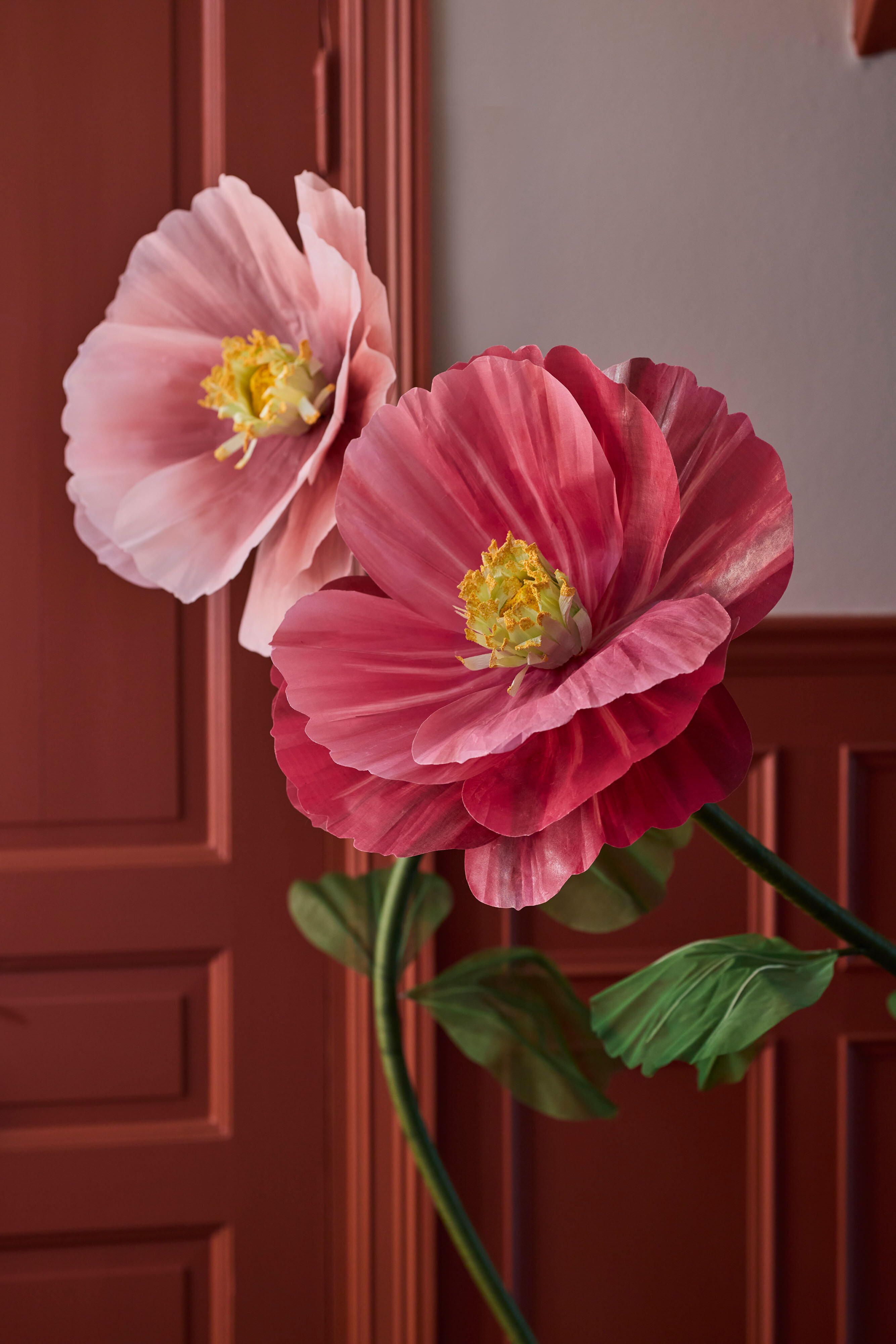 https://www.mrplantshop.se/pub_docs/files/mfr_250408-0240.jpg