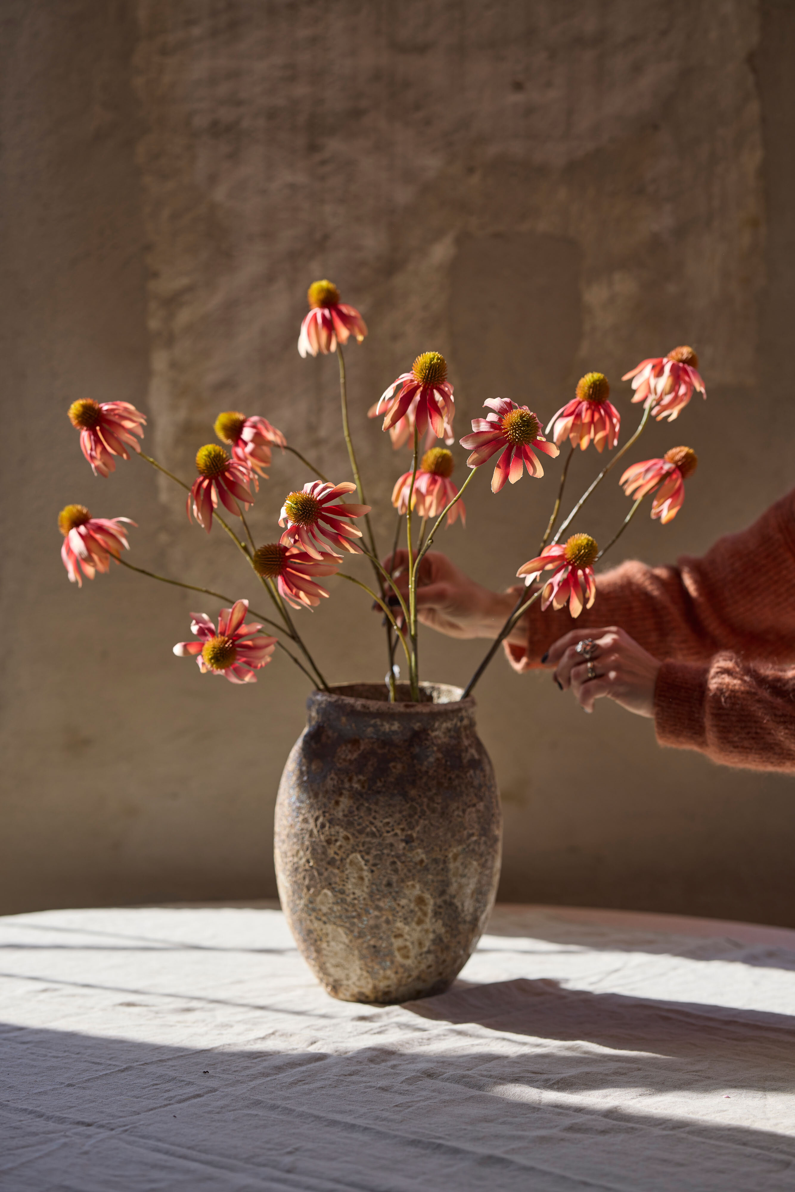 https://www.mrplantshop.se/pub_docs/files/mfr_250409-1254.jpg