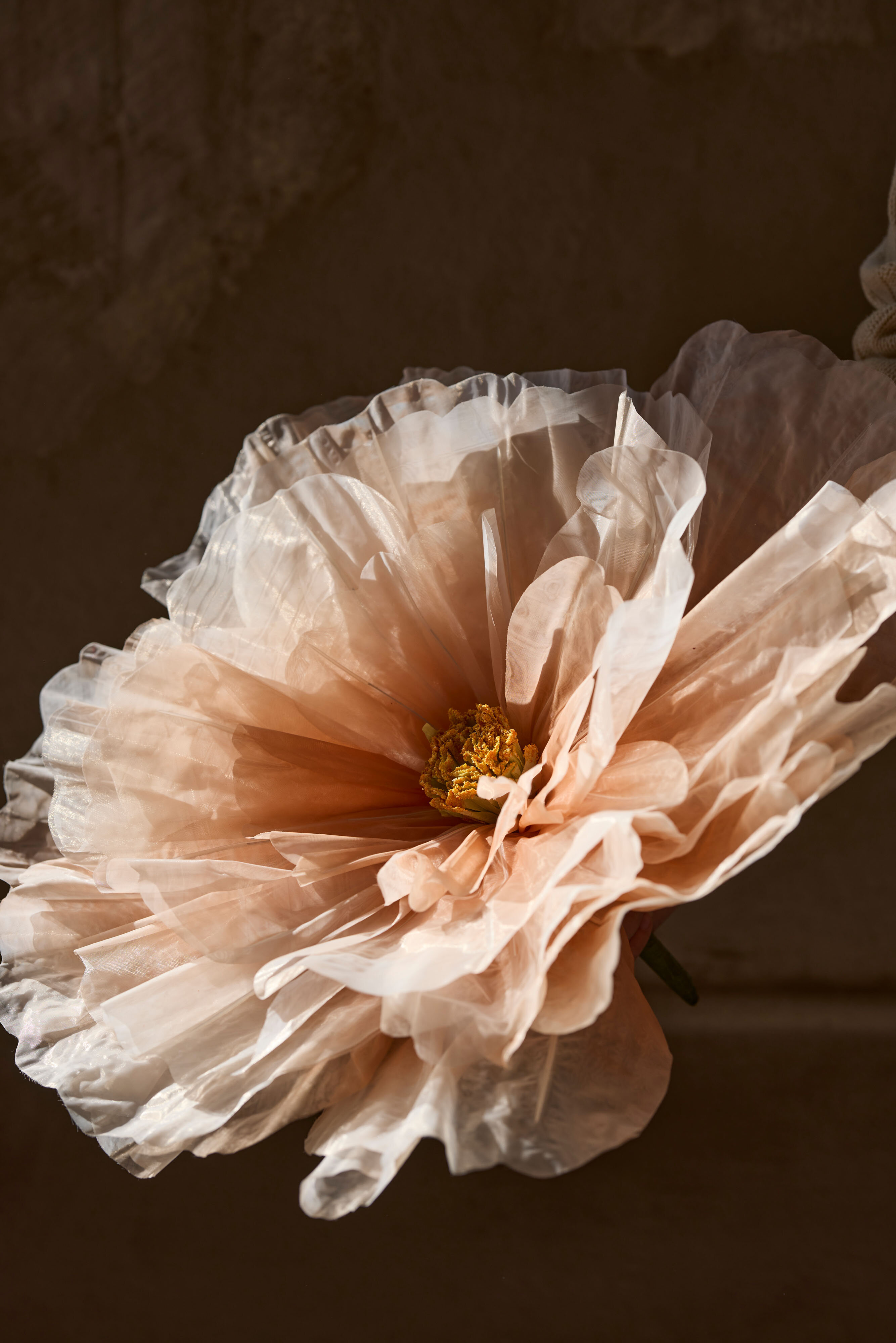https://www.mrplantshop.se/pub_docs/files/mfr_250409-1401.jpg