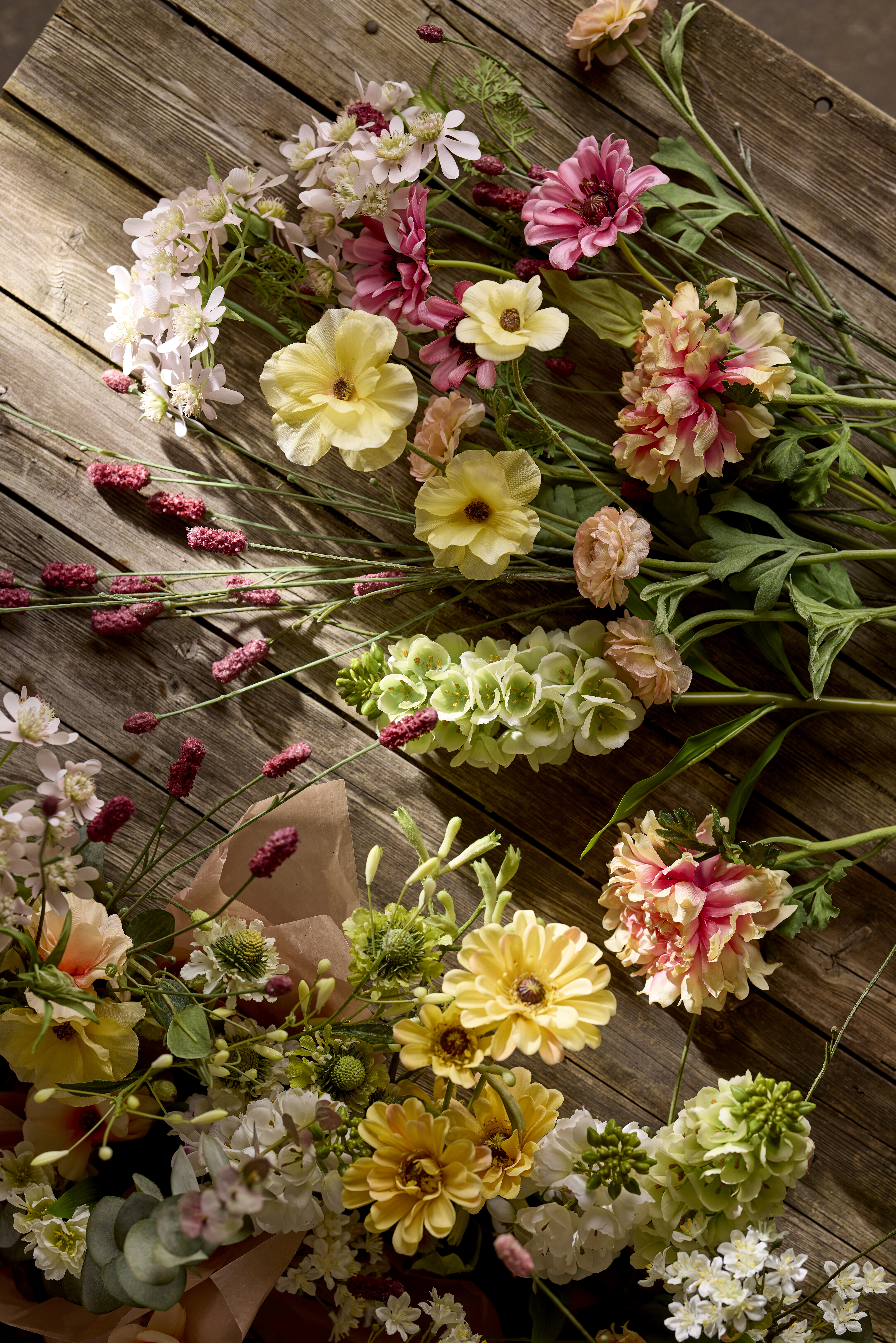 https://www.mrplantshop.se/pub_docs/files/mfr_2986-(kopia)gggg.jpg