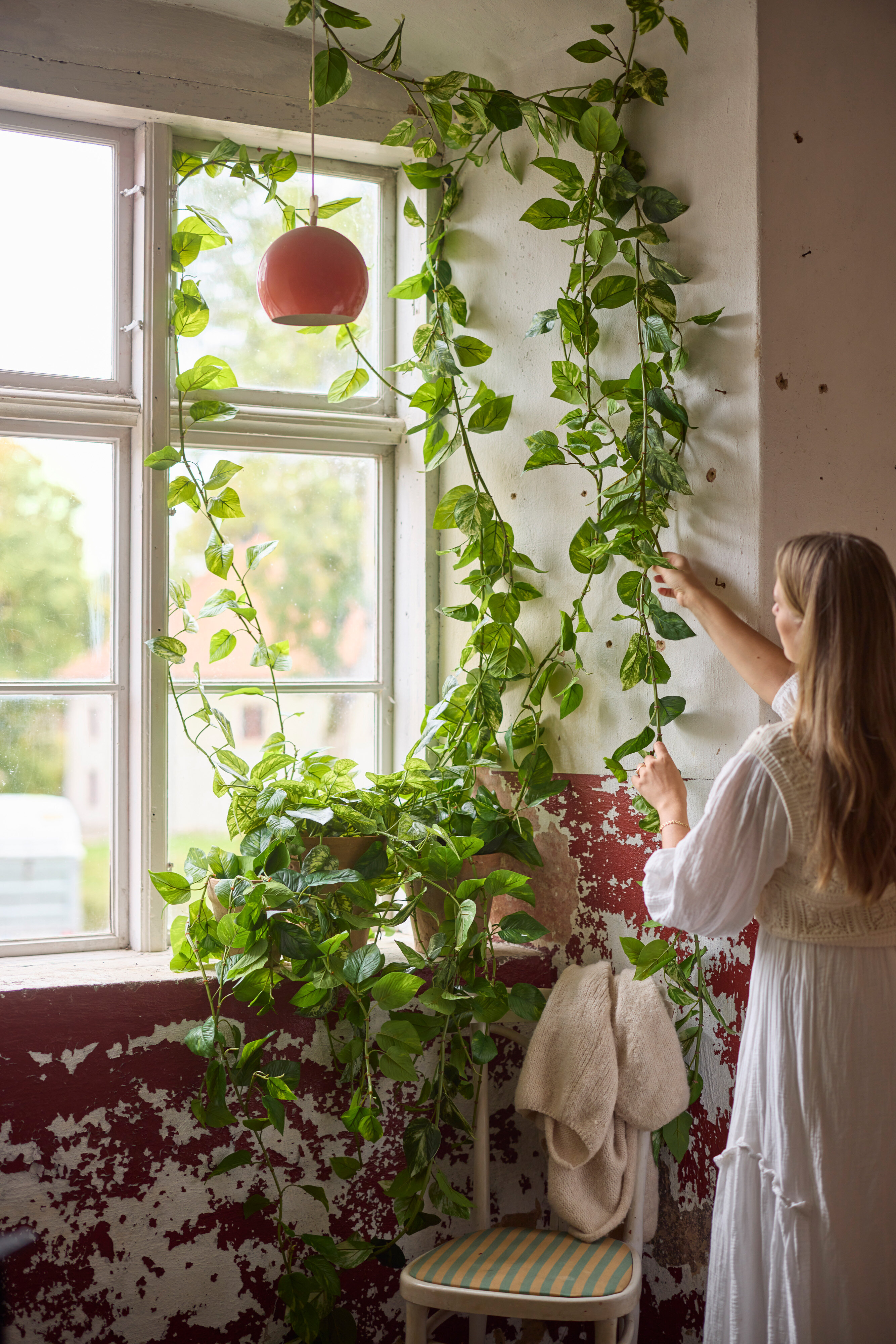 https://www.mrplantshop.se/pub_docs/files/mfr_7275.jpg