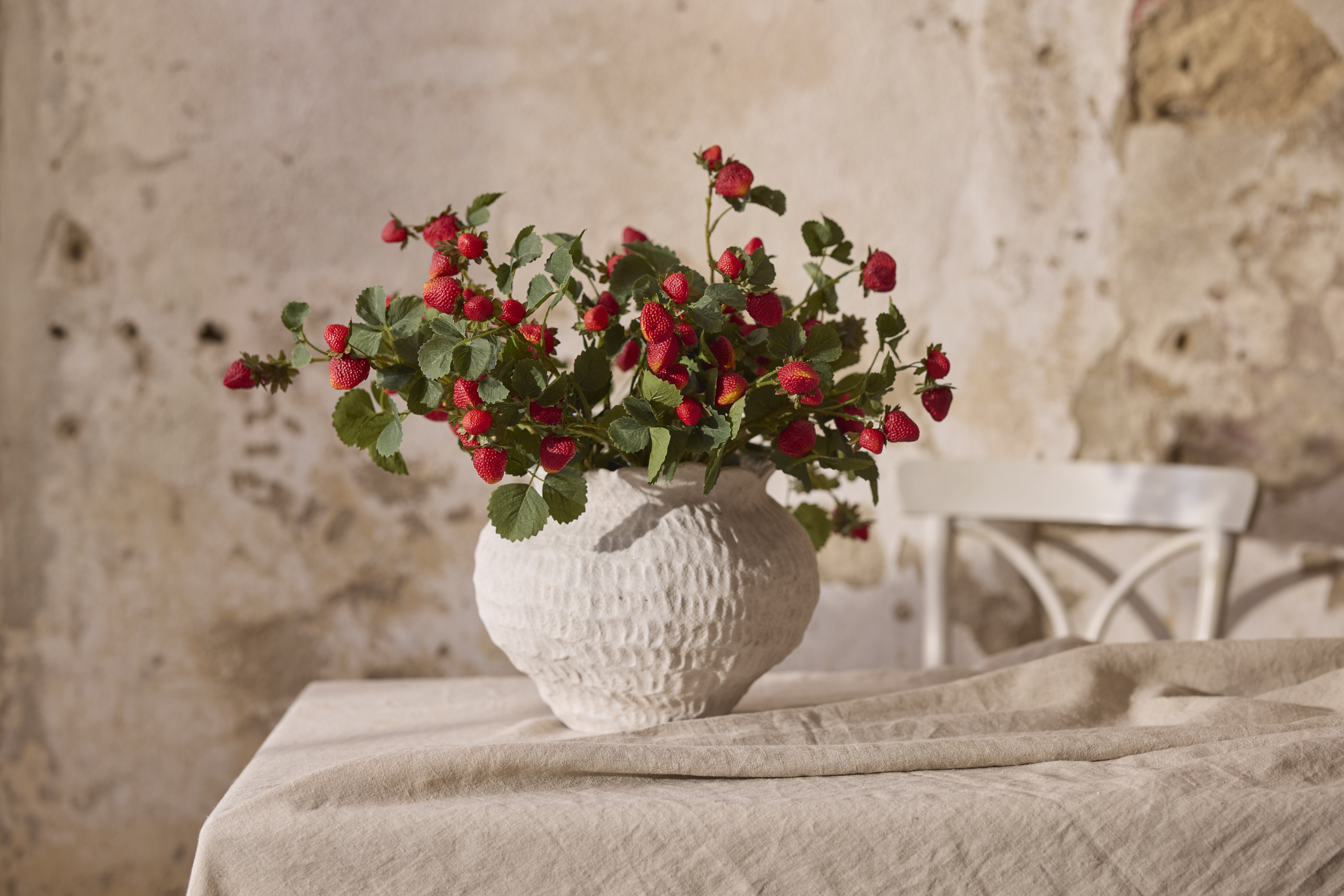 https://www.mrplantshop.se/pub_docs/files/mfr_8437.jpg
