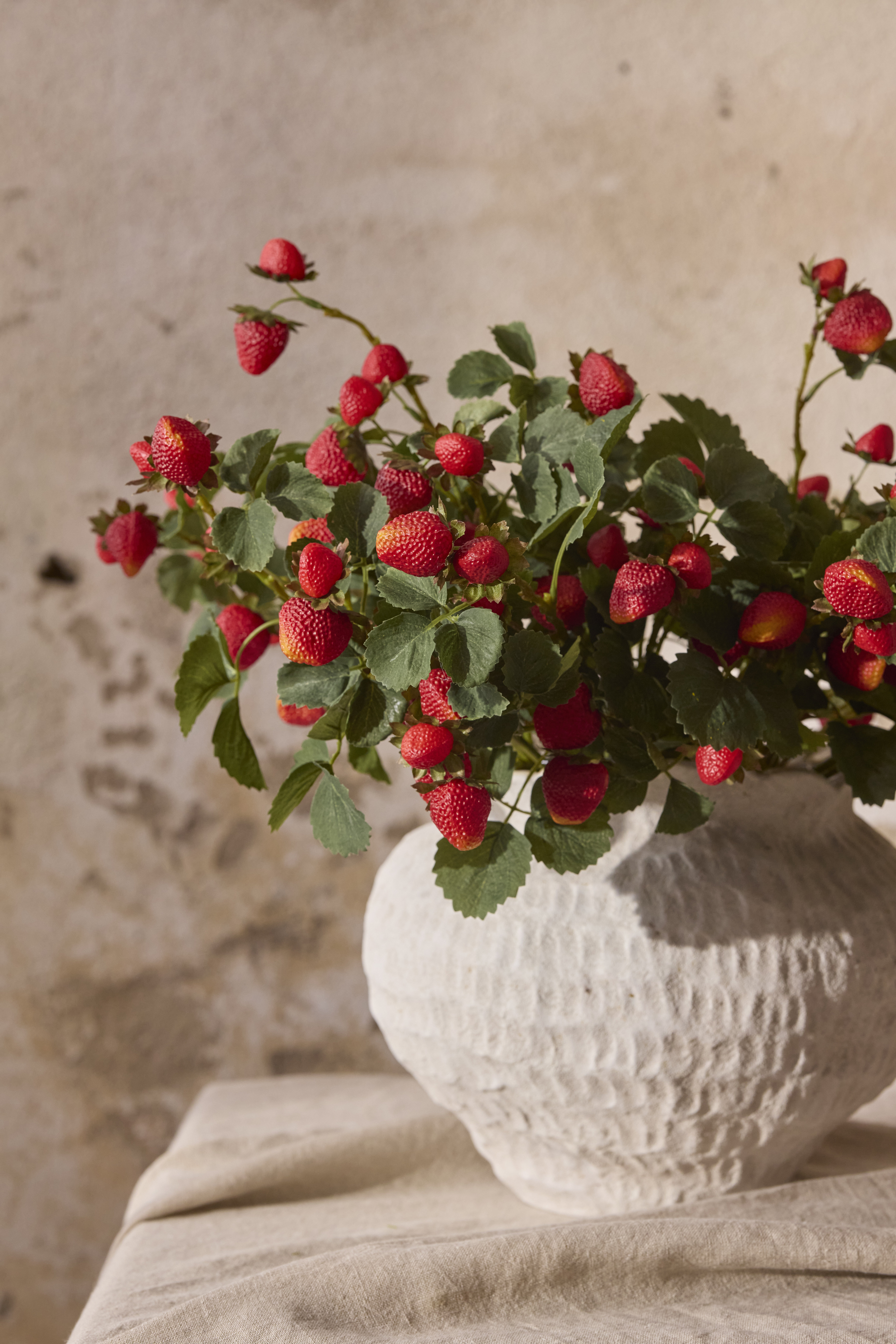 https://www.mrplantshop.se/pub_docs/files/mfr_8447.jpg
