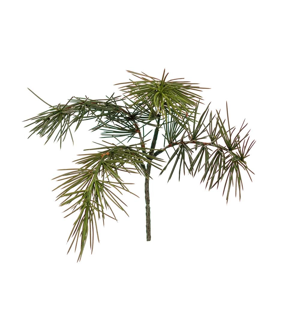 Barrkvist