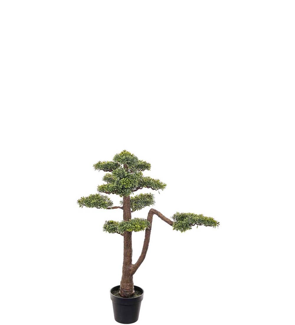Bonsai