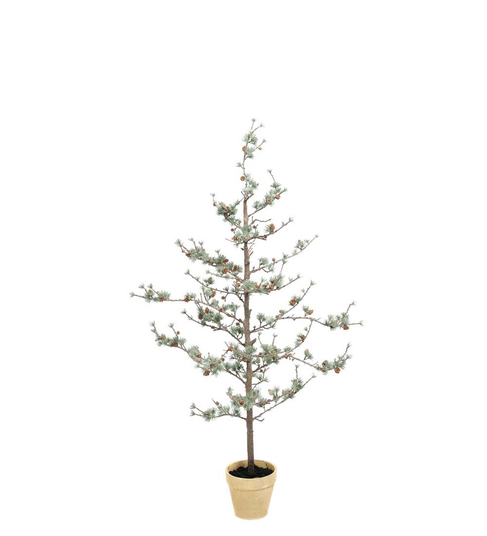 Lärkträd
