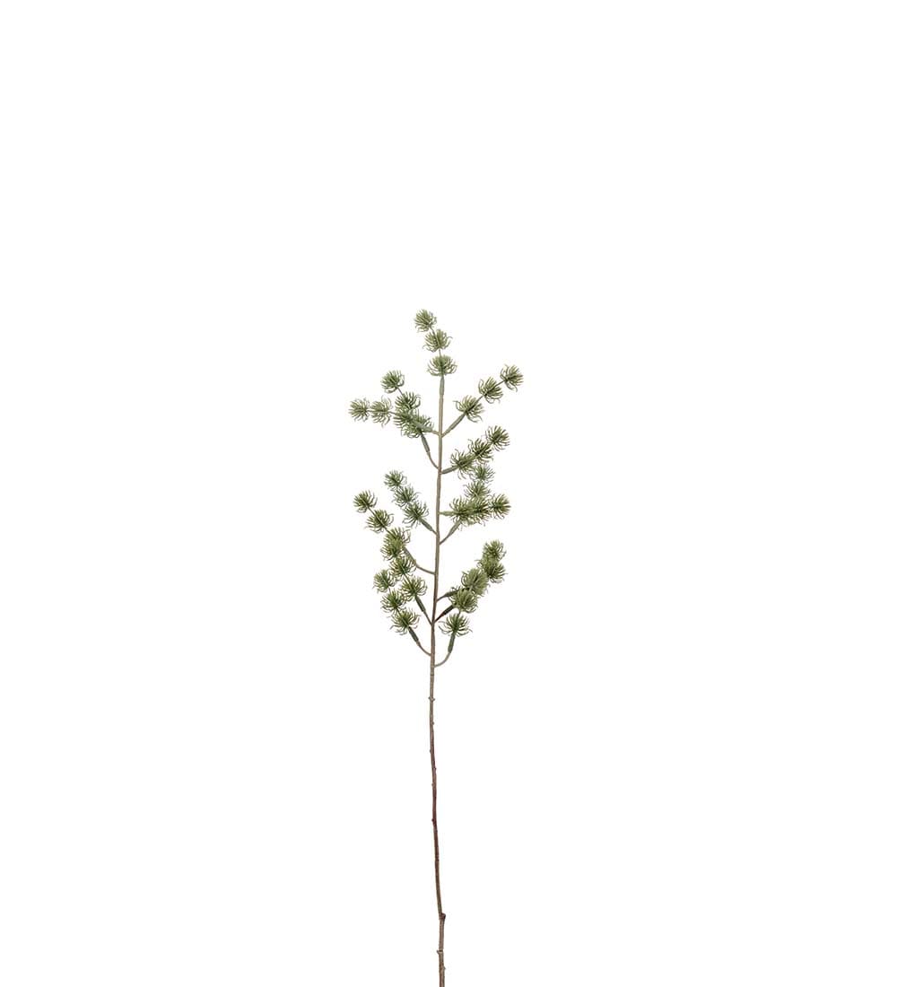 Lärkkvist