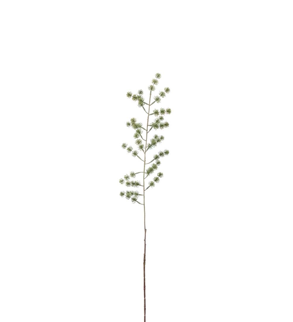 Lärkkvist