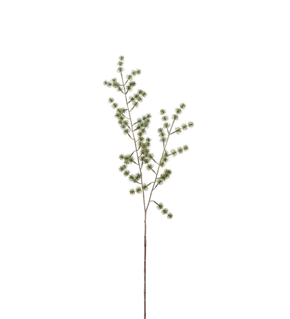 Lärkkvist