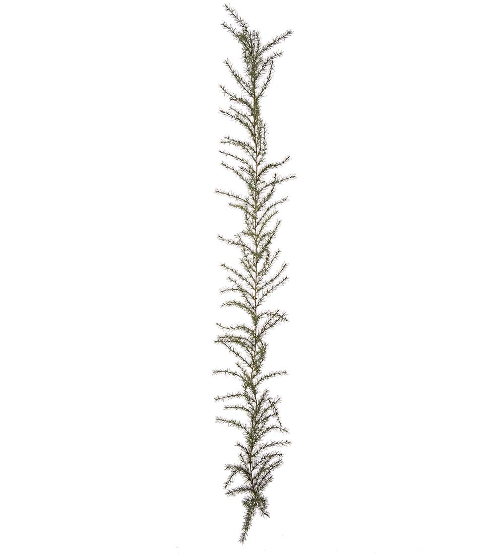 Grangirlang