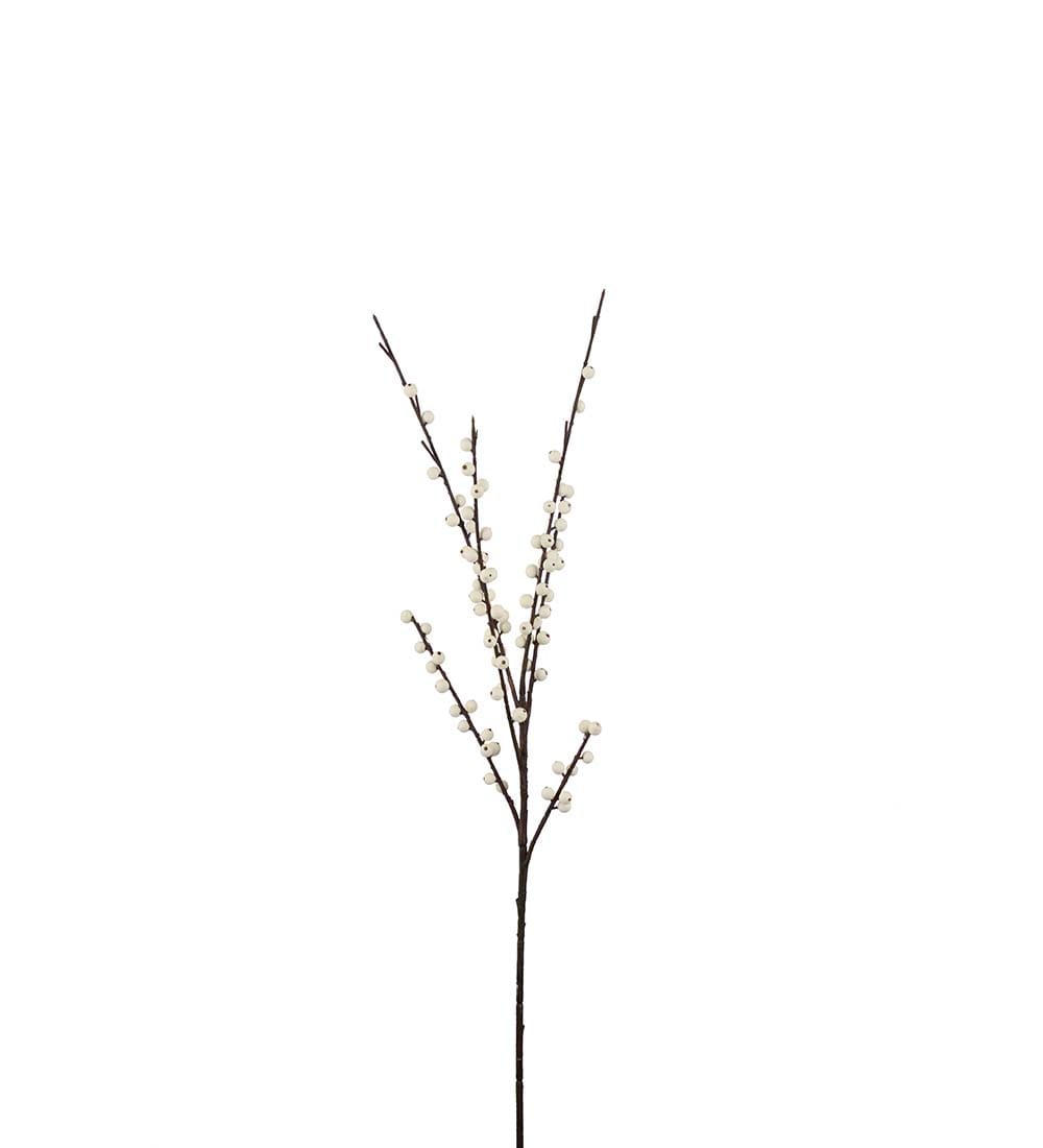 Bärkvist