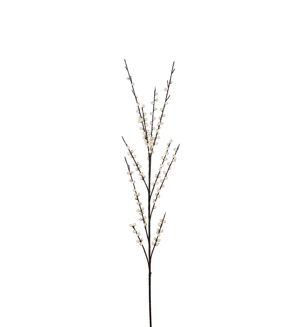 Bärkvist