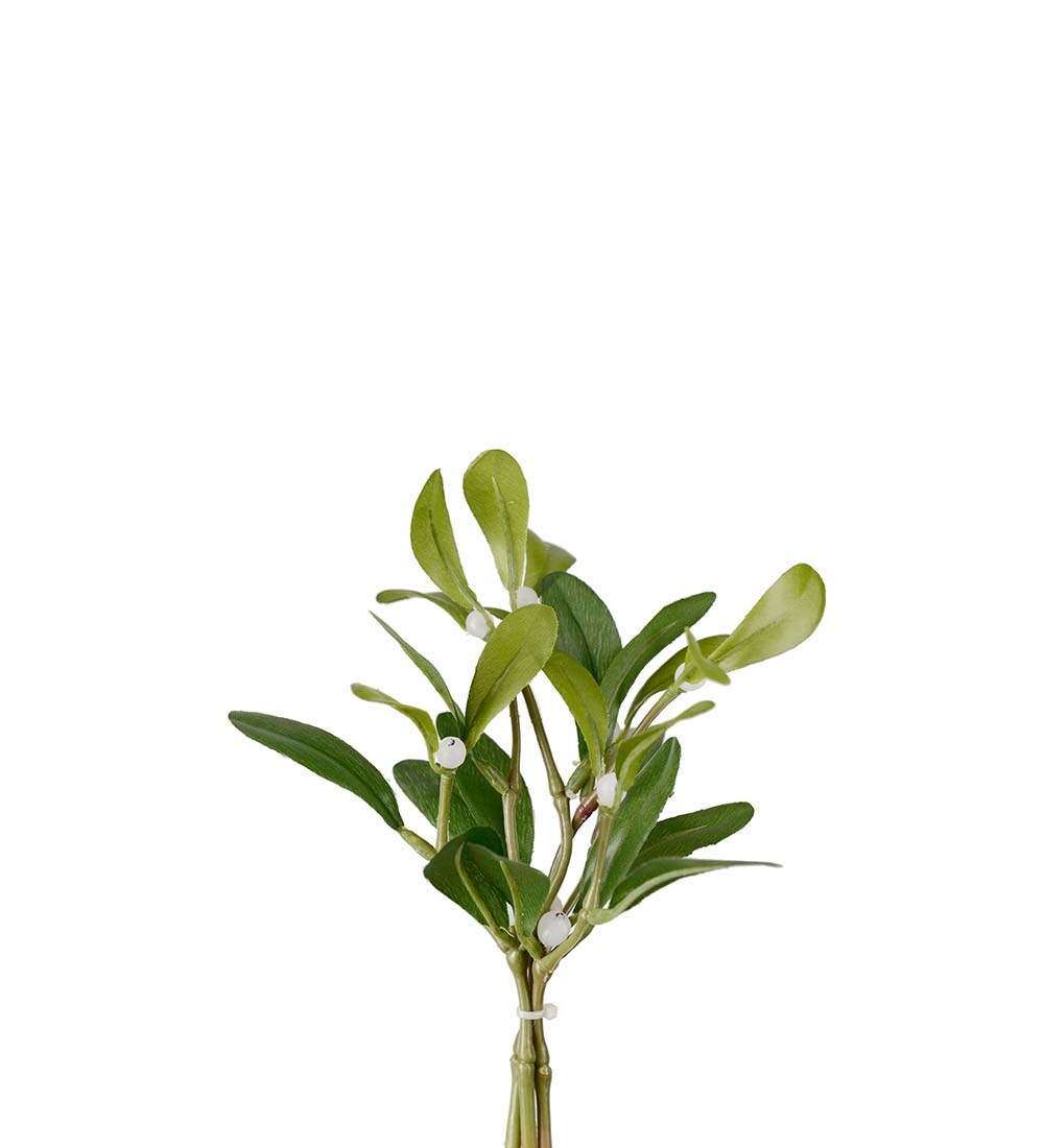 Mistel