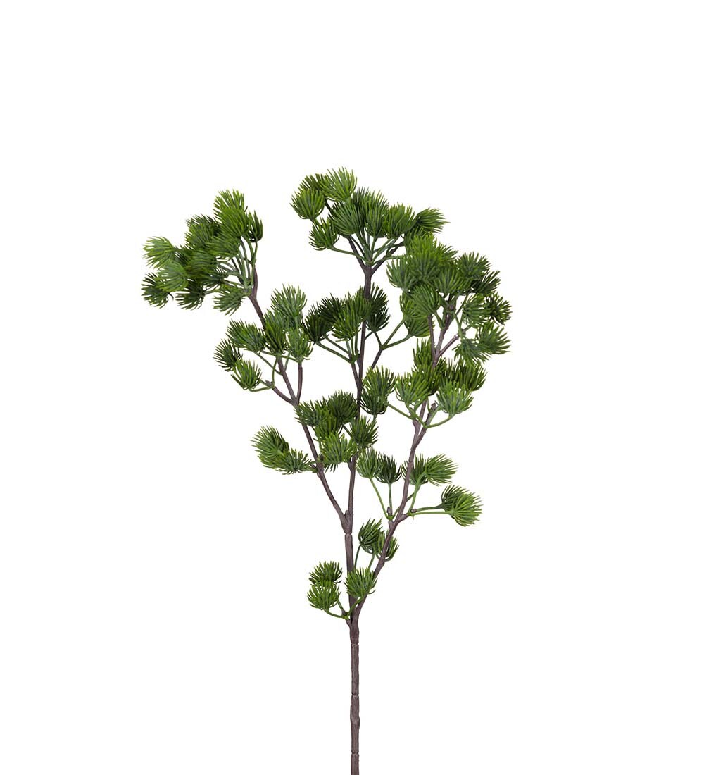 Lärkkvist