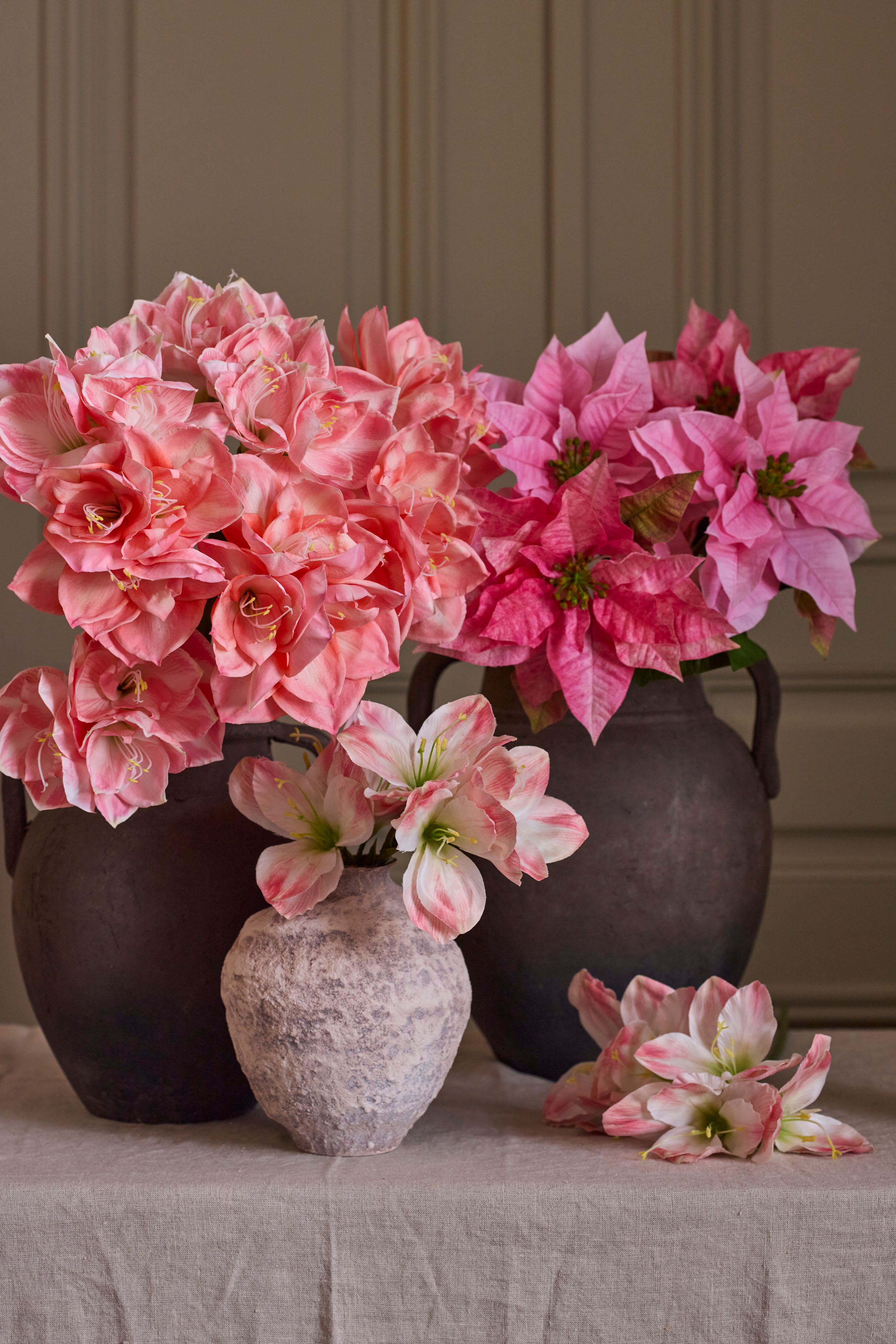 Amaryllis