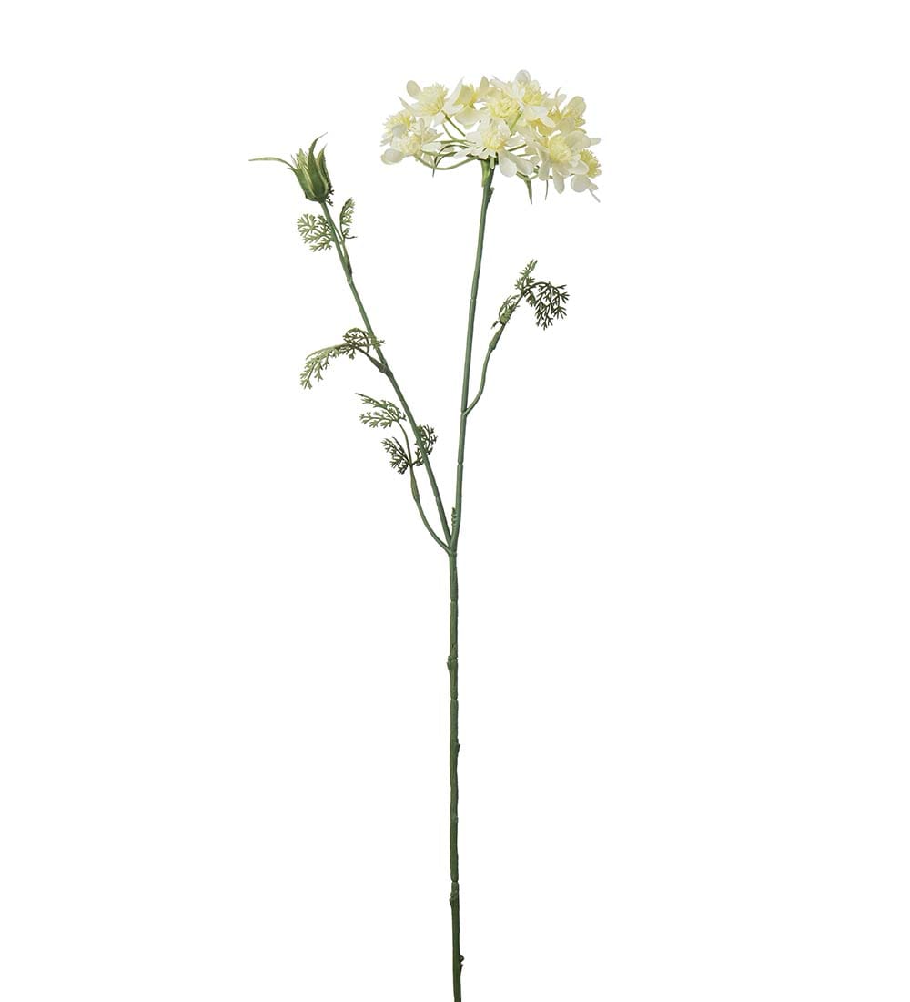 Blomsterkörvel