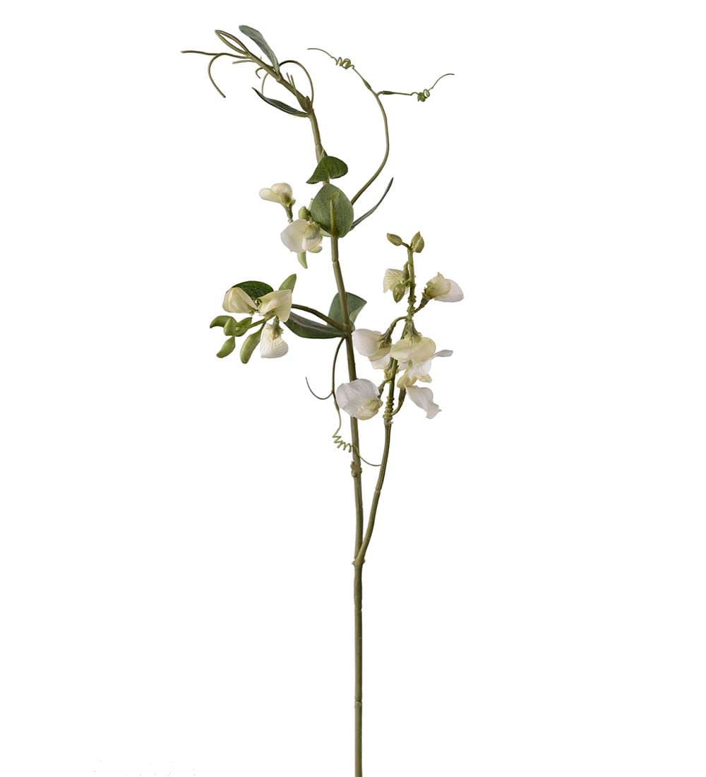 Luktärt