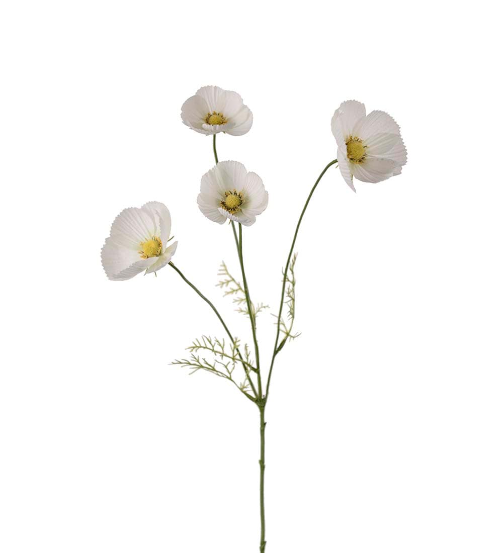 Rosenskära