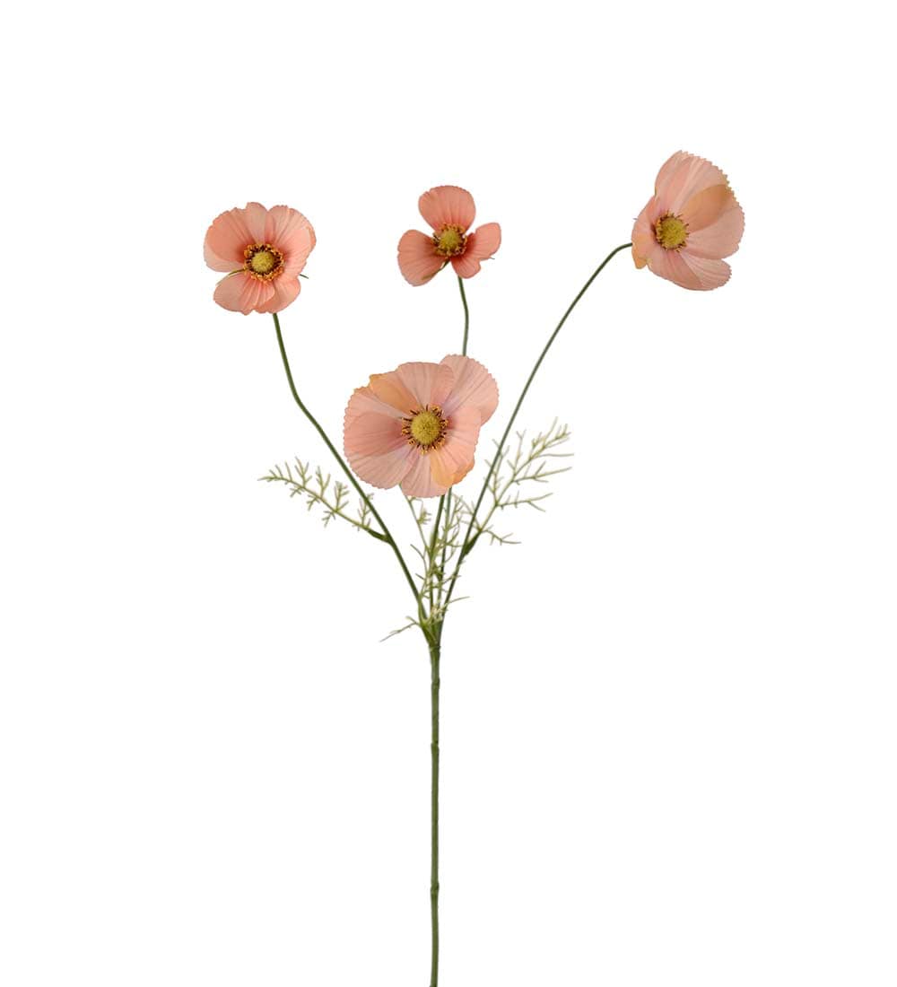 Rosenskära
