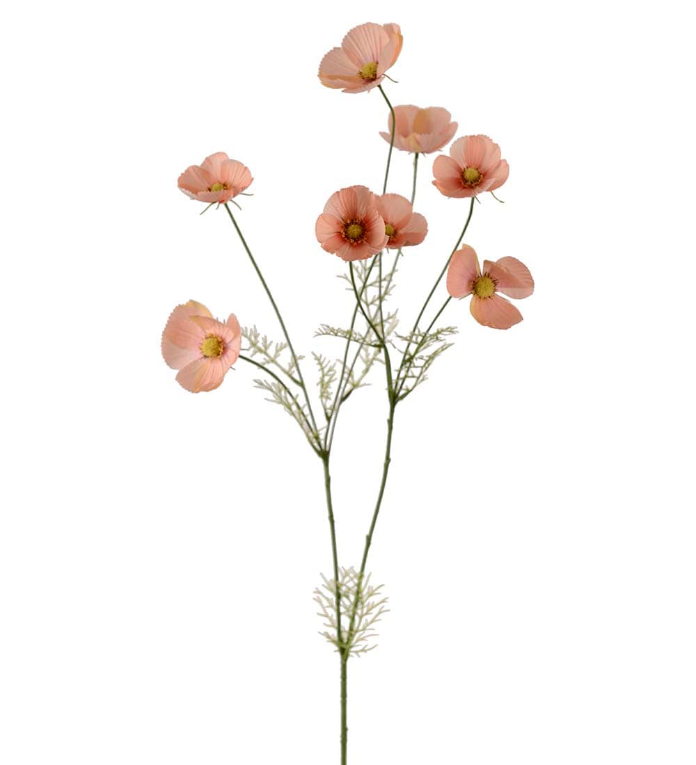 Rosenskära