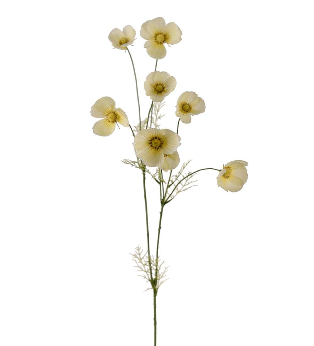 Rosenskära