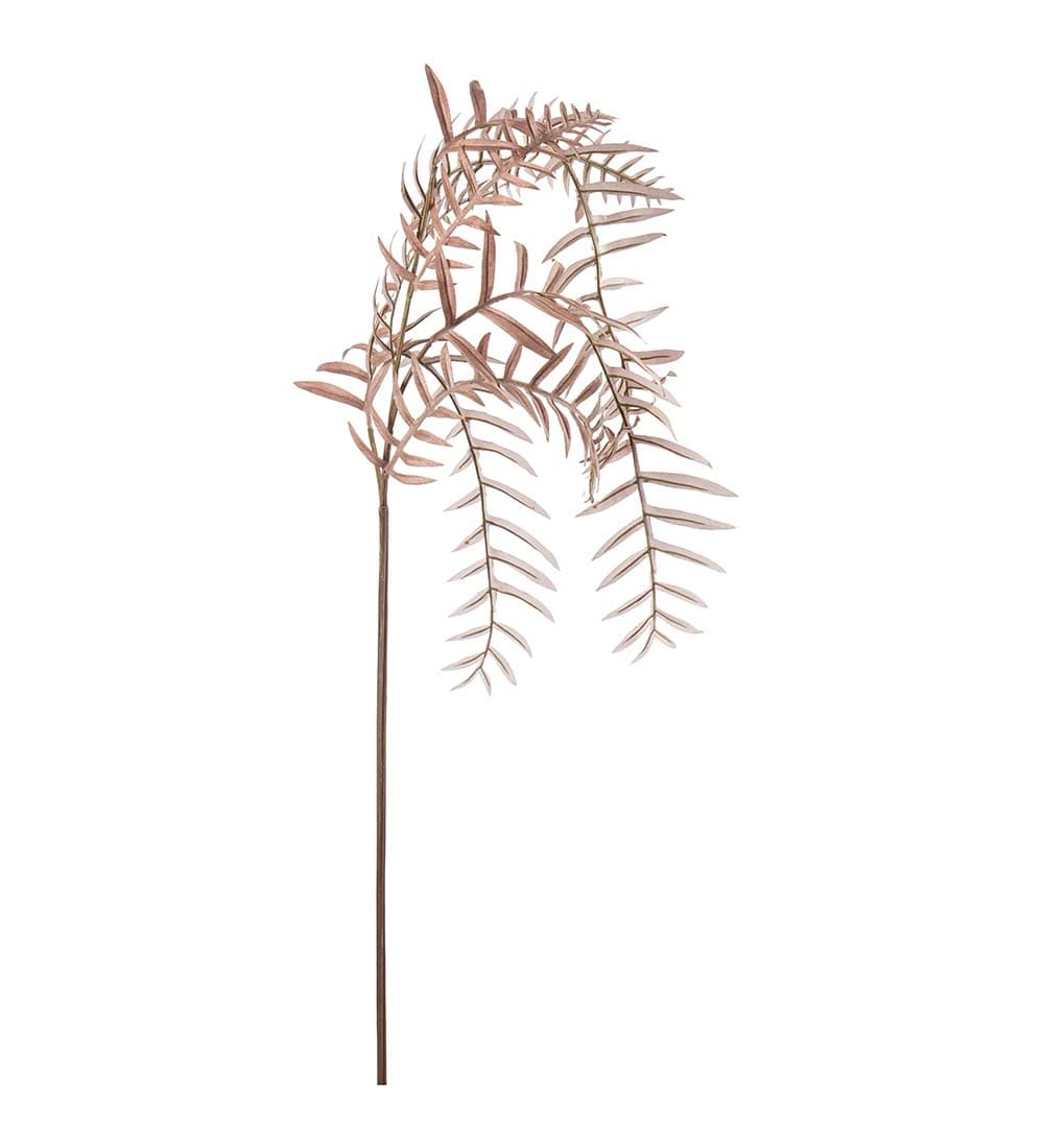 Ormbunksblad