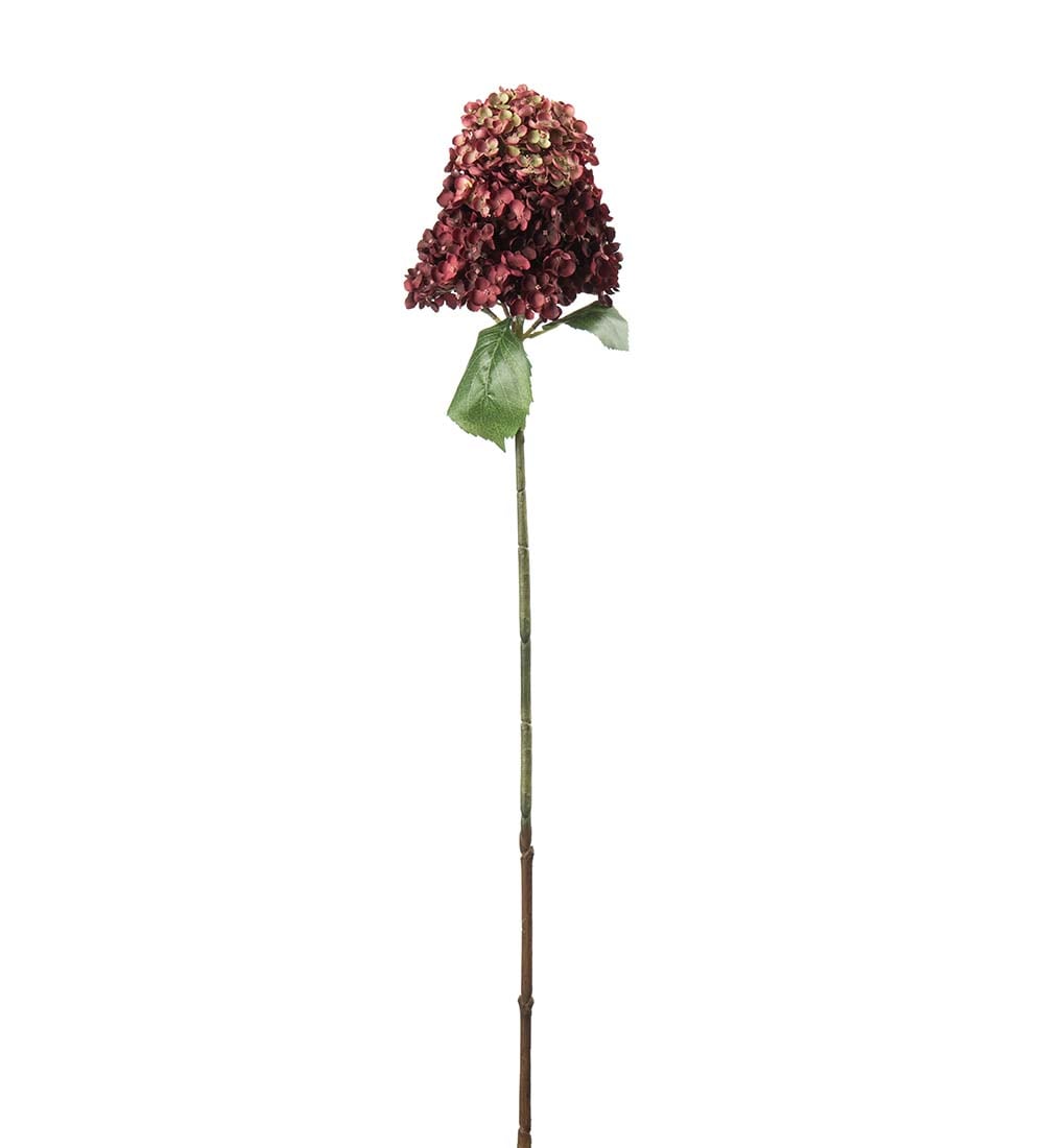 Syrénhortensia