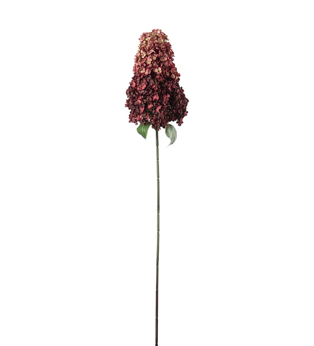 Syrénhortensia