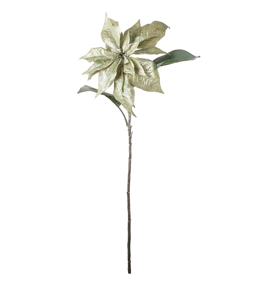 Julstjärna