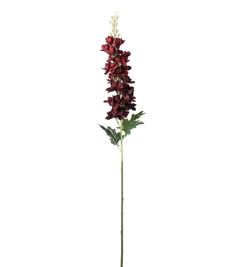 Delphinium