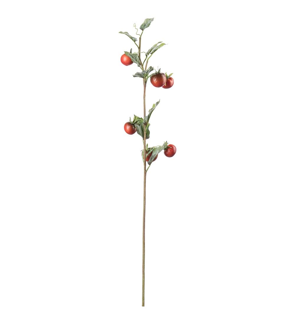 Tomatkvist