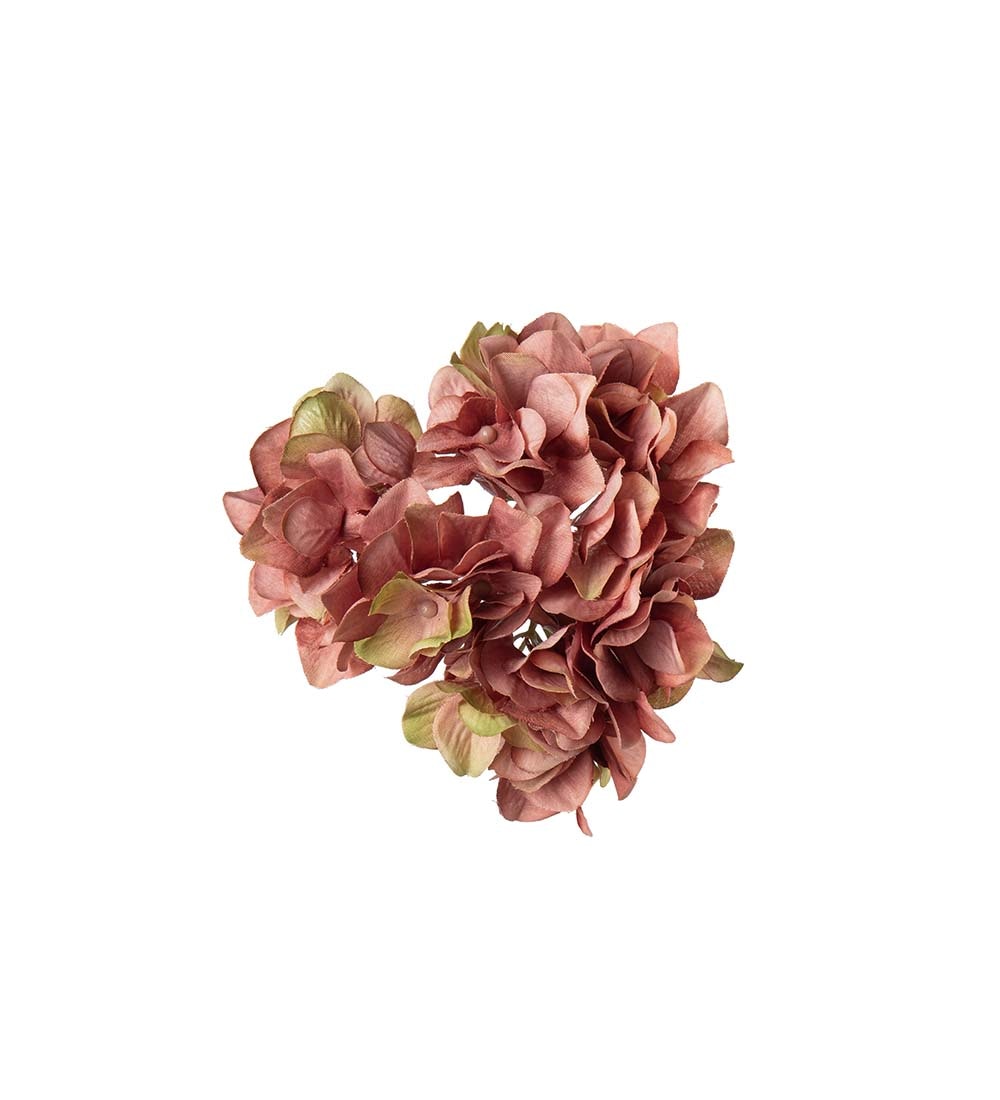 Hortensia med clips