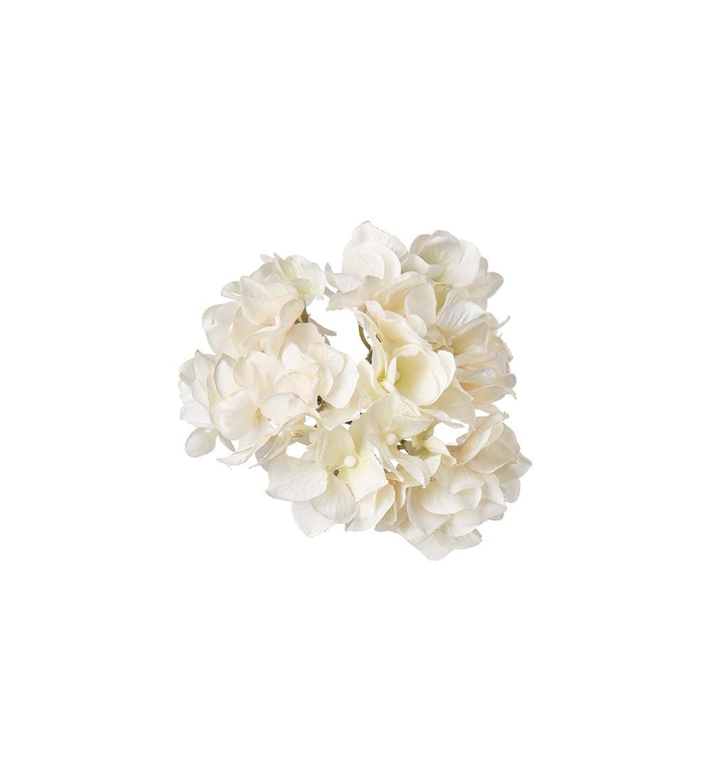 Hortensia med clips