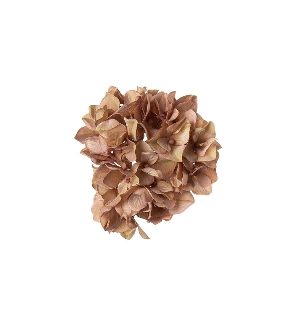 Hortensia med clips