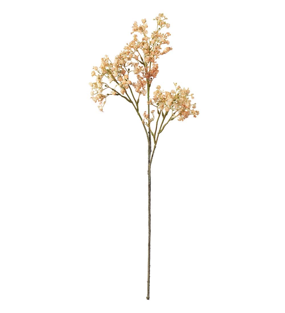 Brudslöja