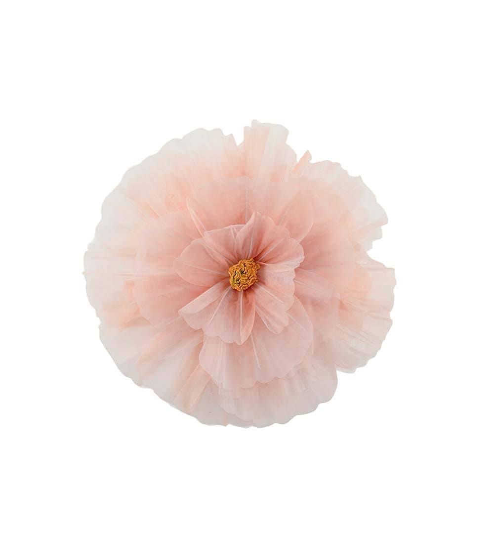 Blomma Daisy vägg