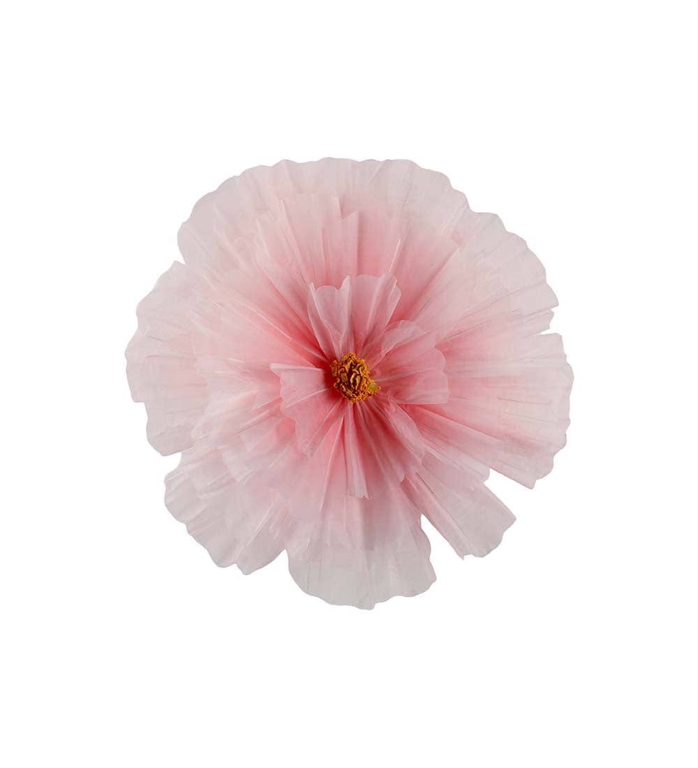Blomma Daisy vägg