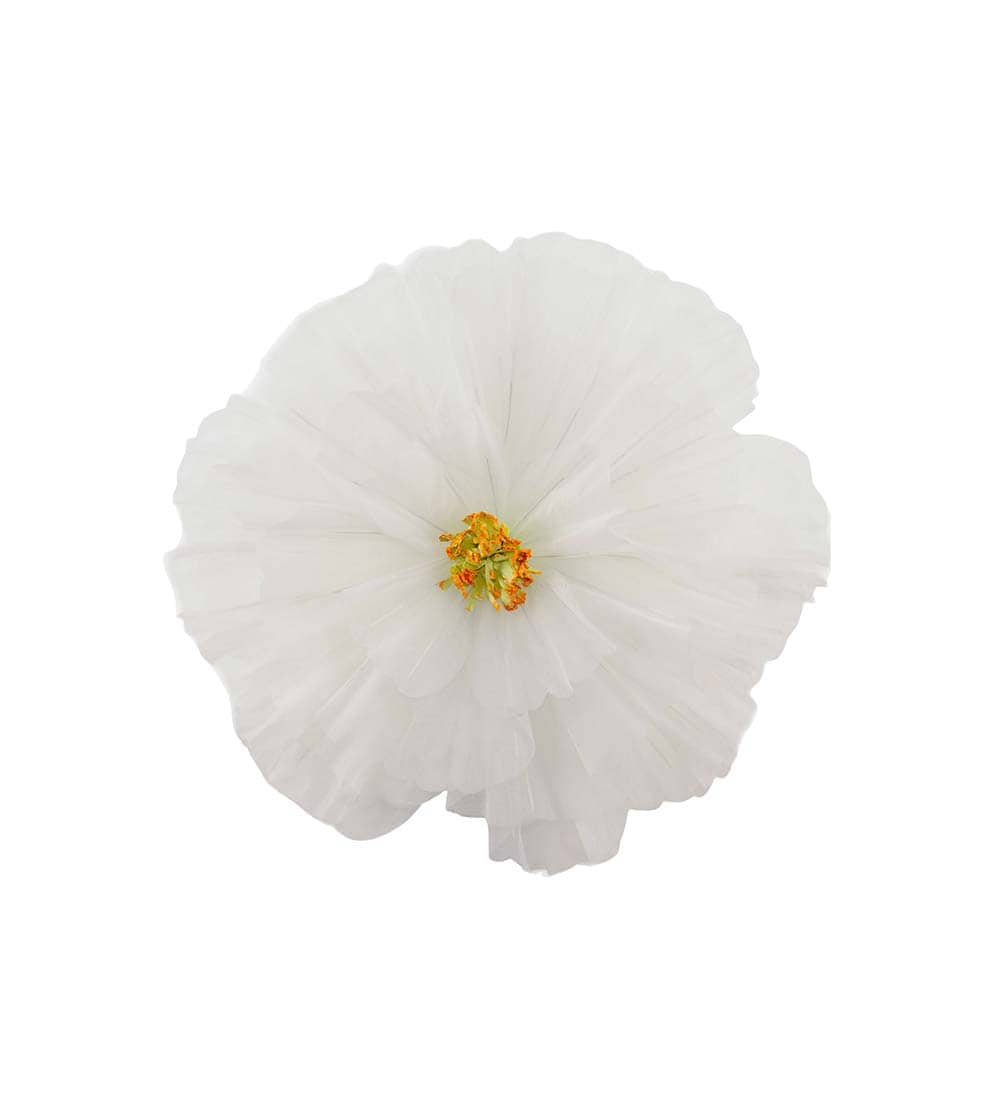 Blomma Daisy vägg