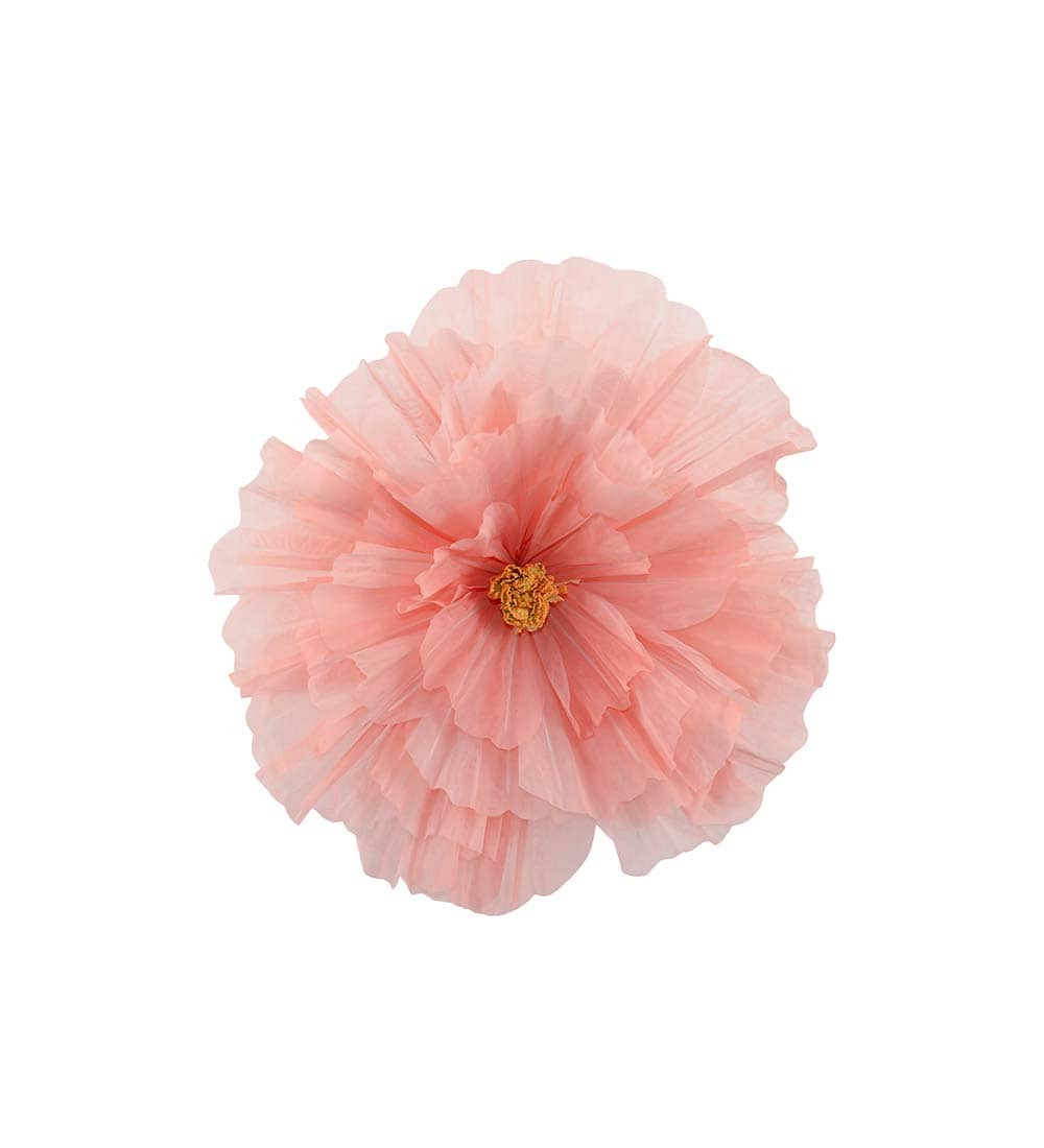 Blomma Daisy vägg