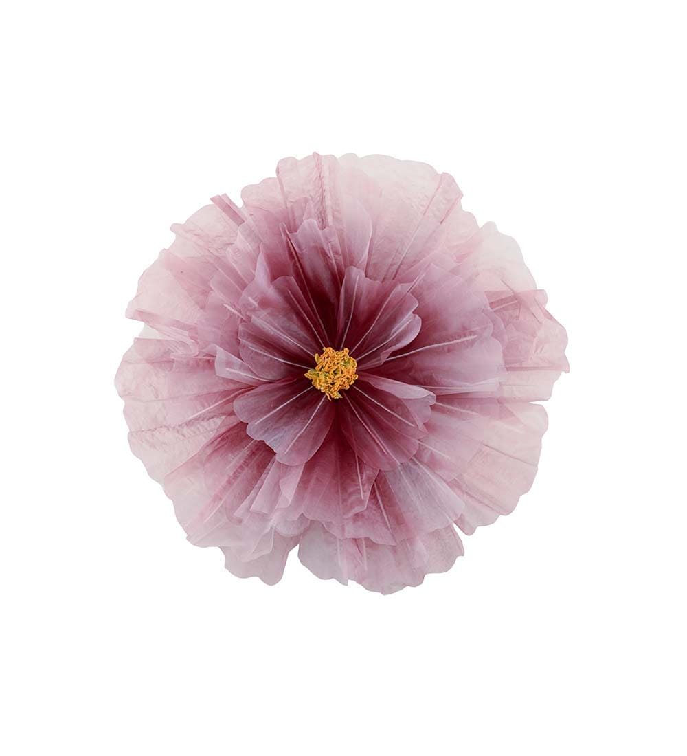 Blomma Daisy vägg