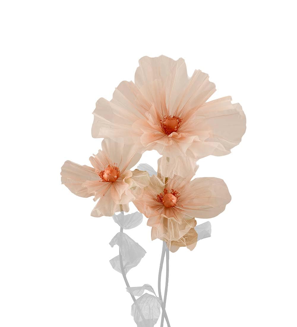 Blomma Lilly 3/S