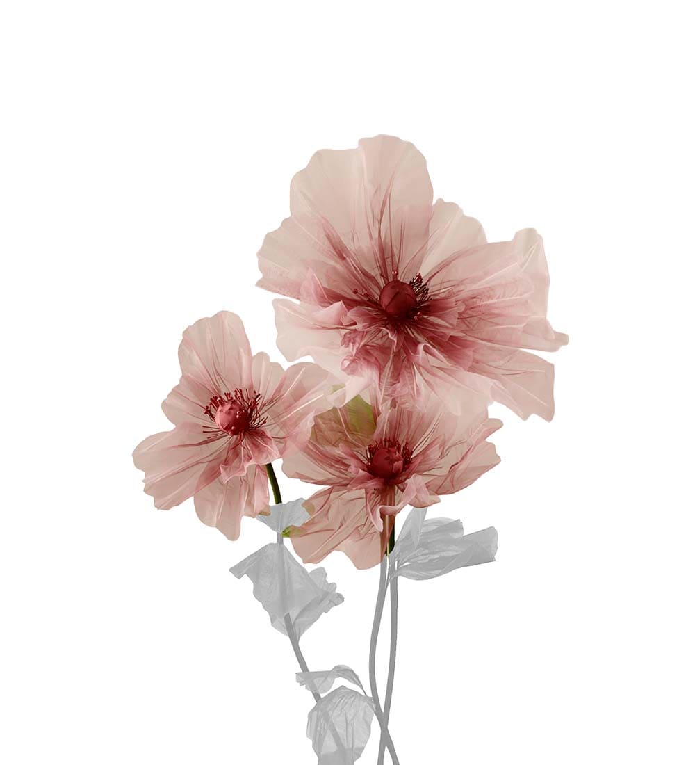 Blomma Lilly 3/S